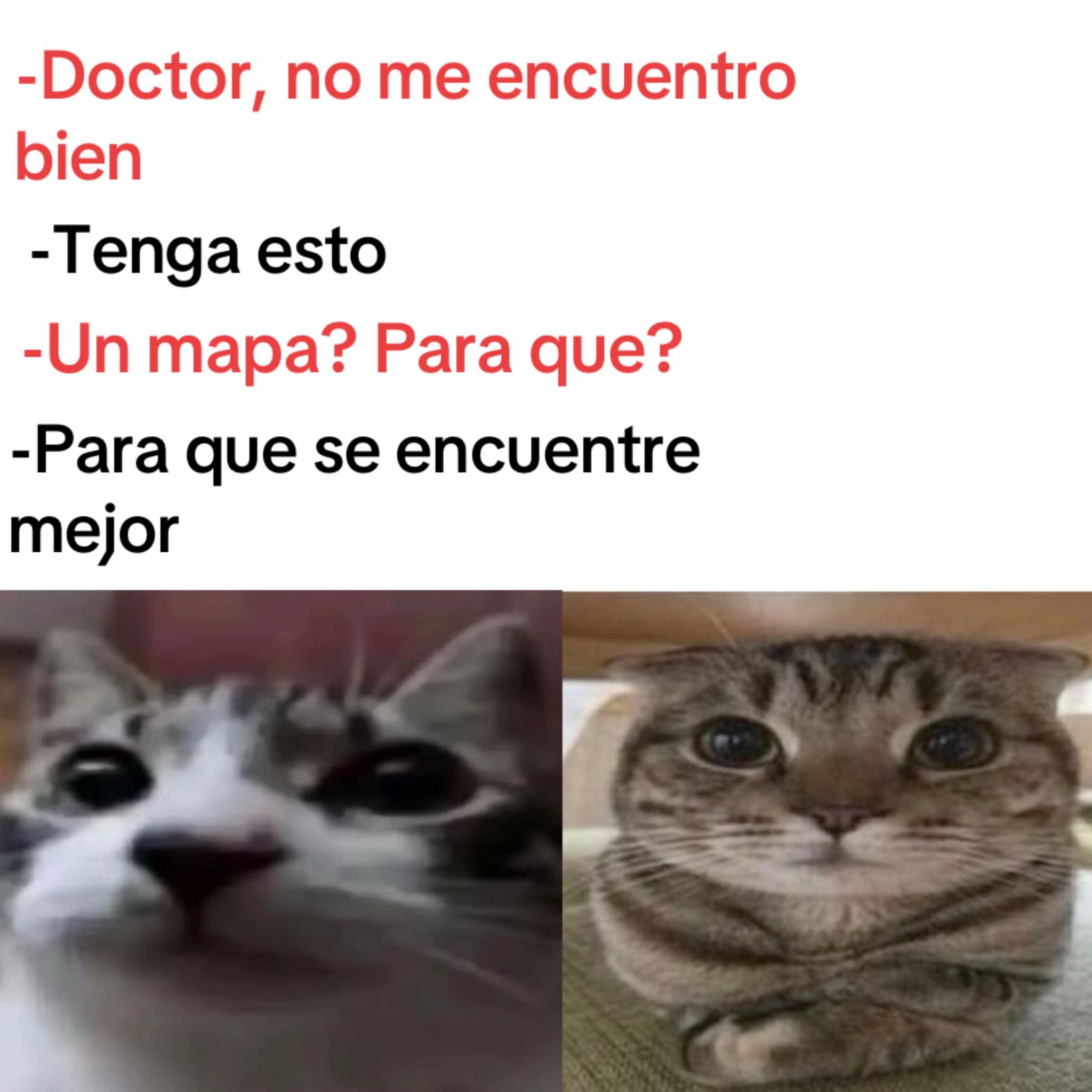@momazosnegromarronjeje