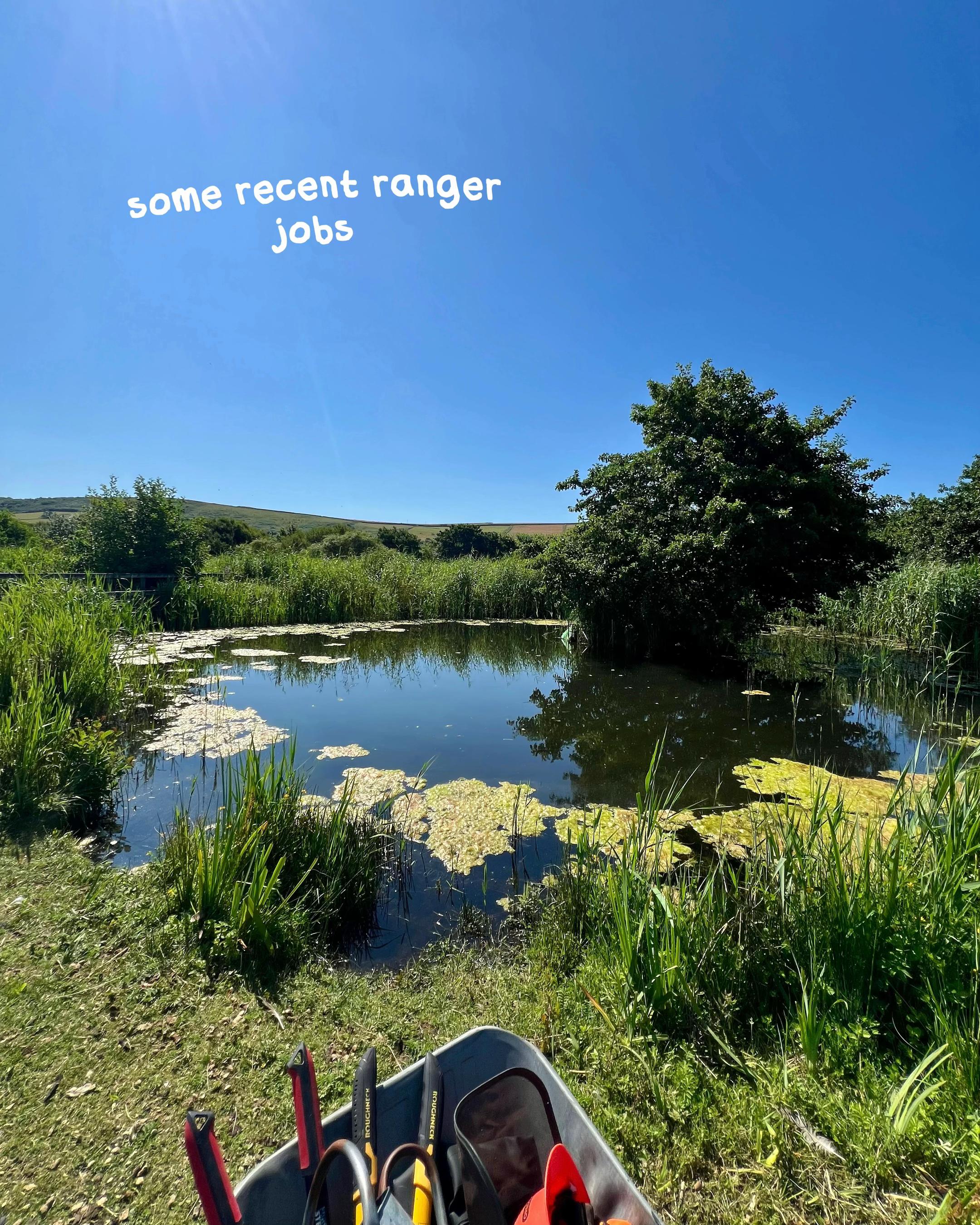 @Liv the Ranger