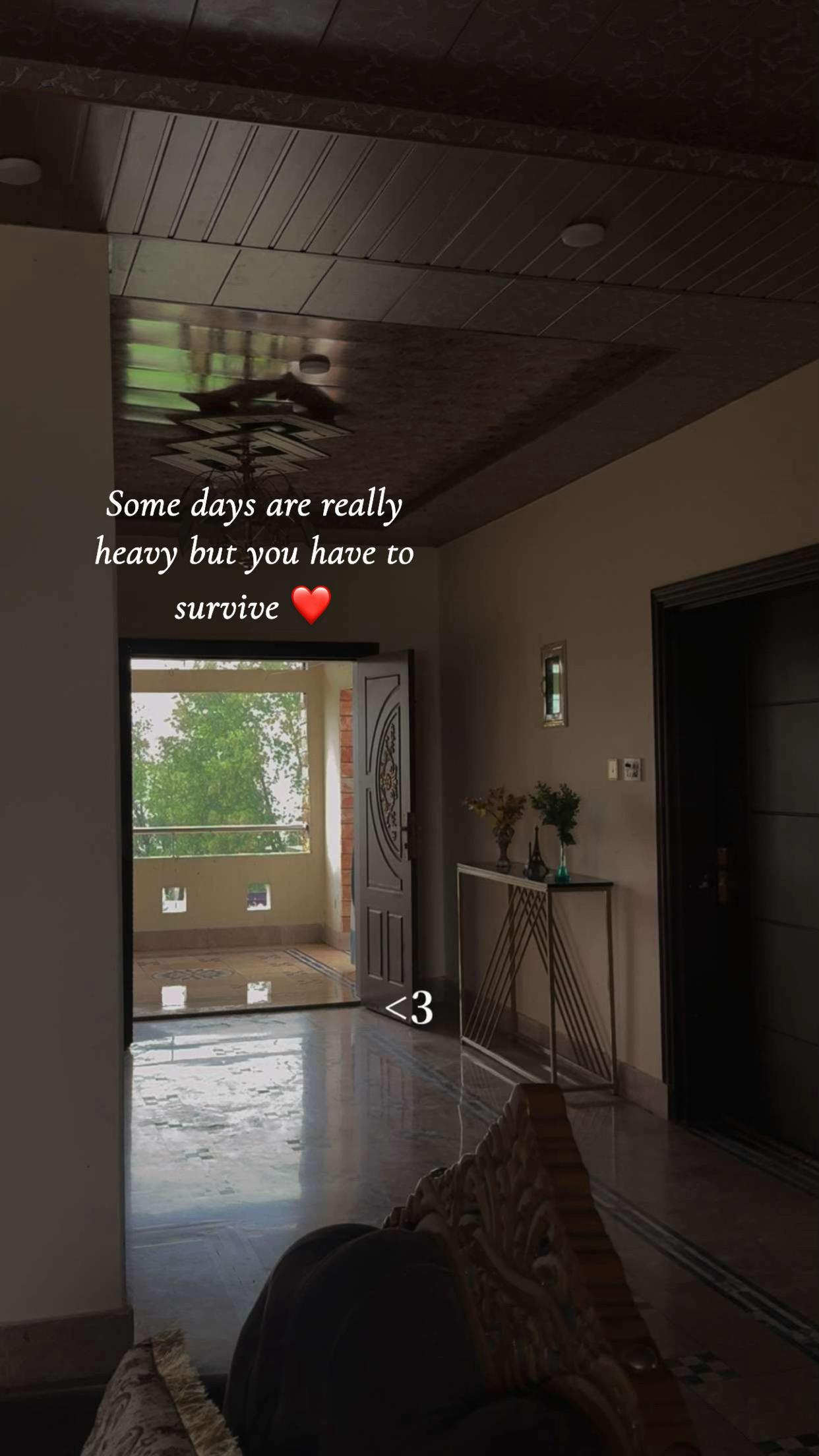 @ZH🎀🖇️