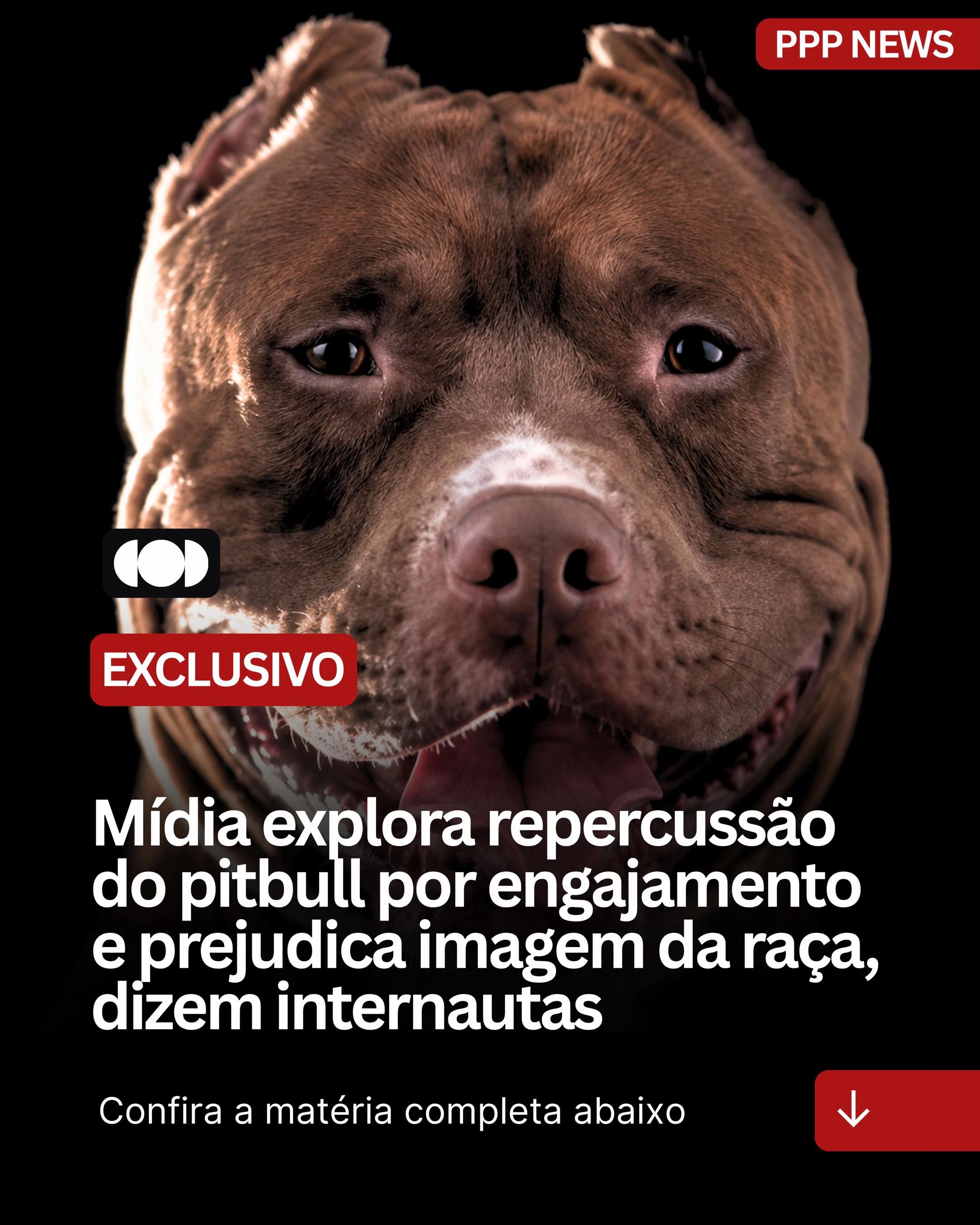 @PITBULL PLANET