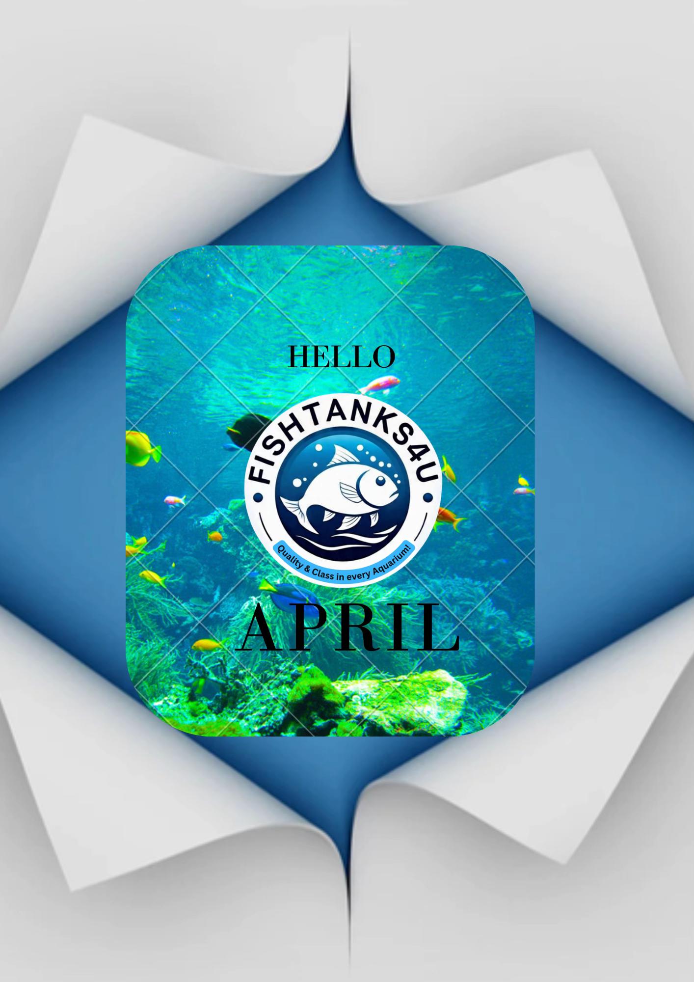 @fishtanks4u_