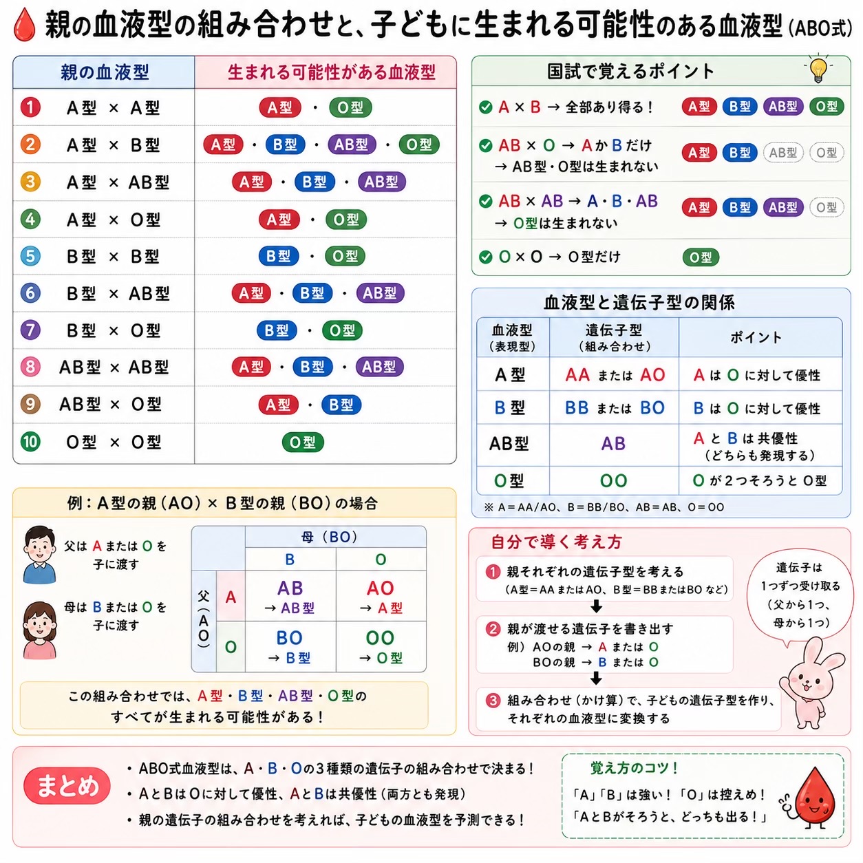 @ももんが看護