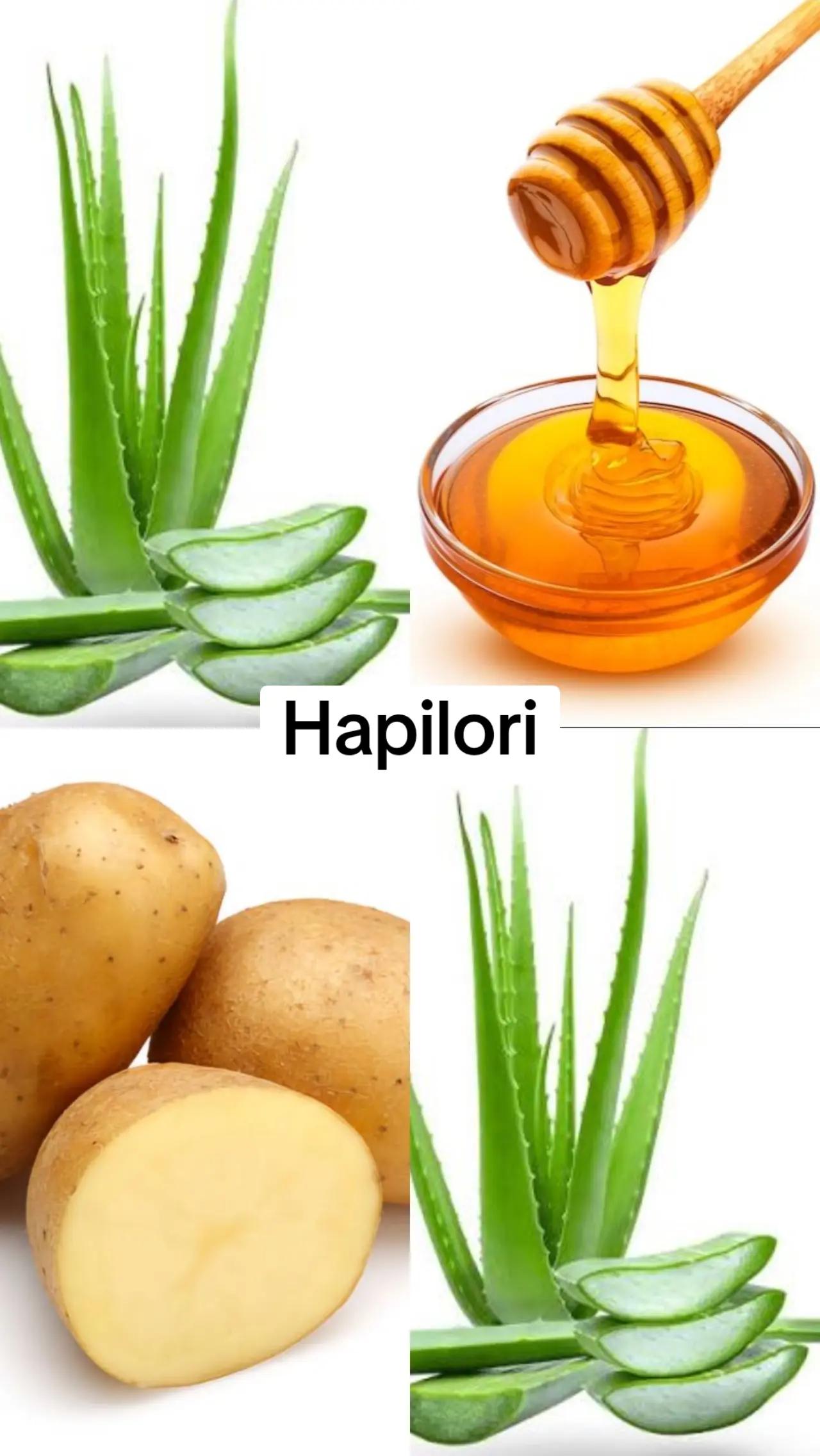 @Maître remon