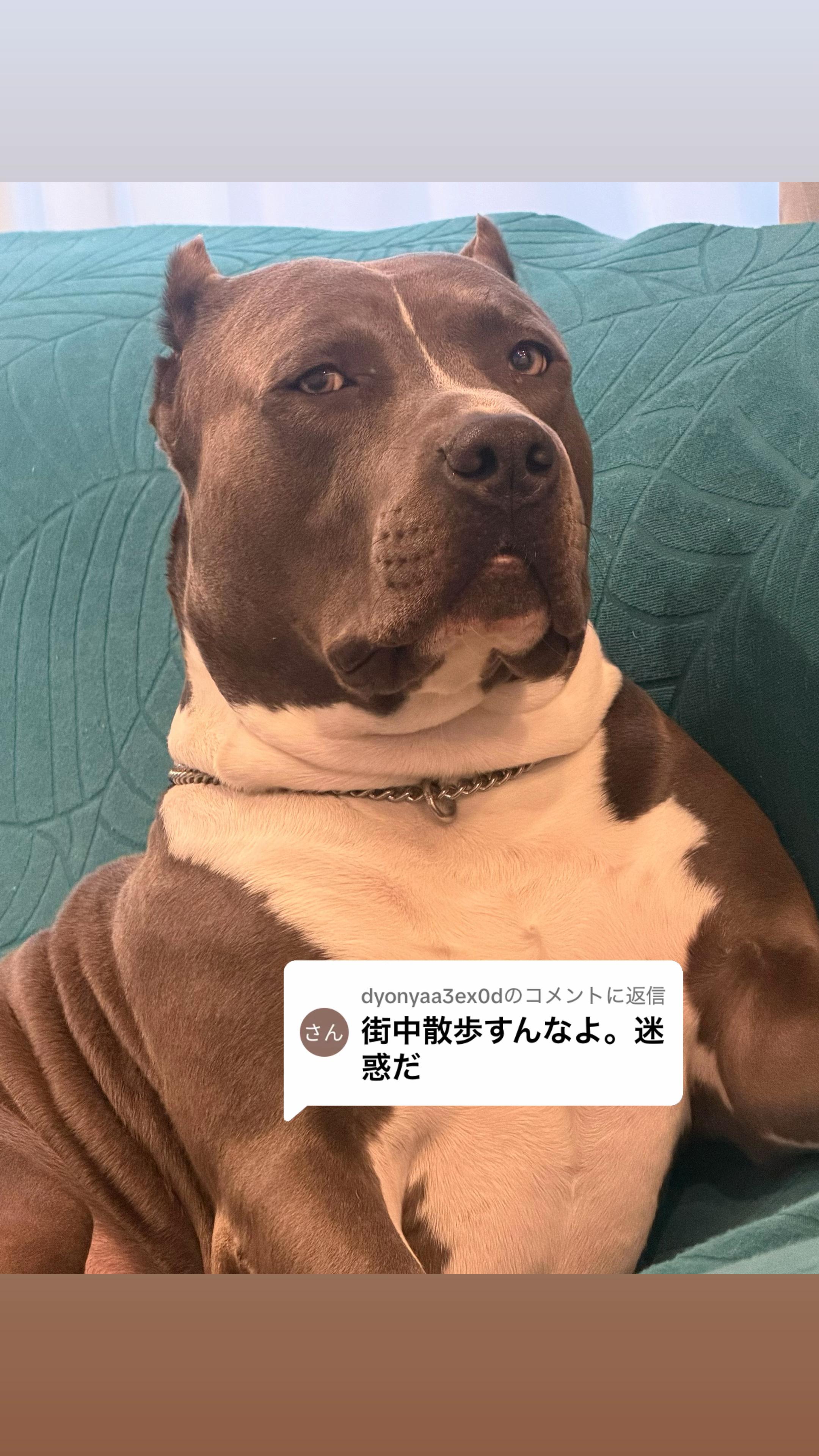 @BOSSใ ใ๐พ๐