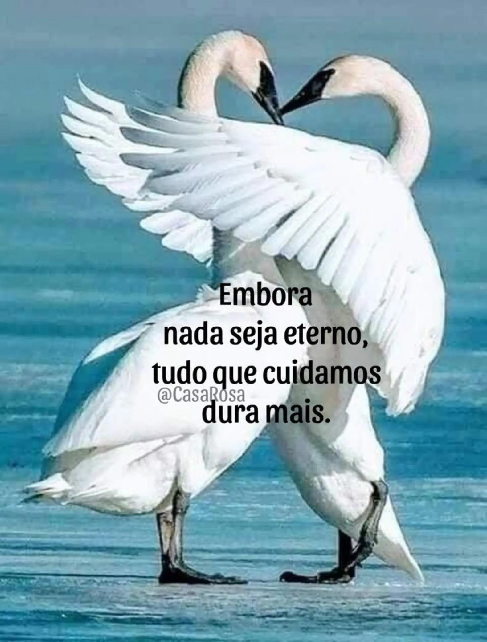 @Ricardo Motta