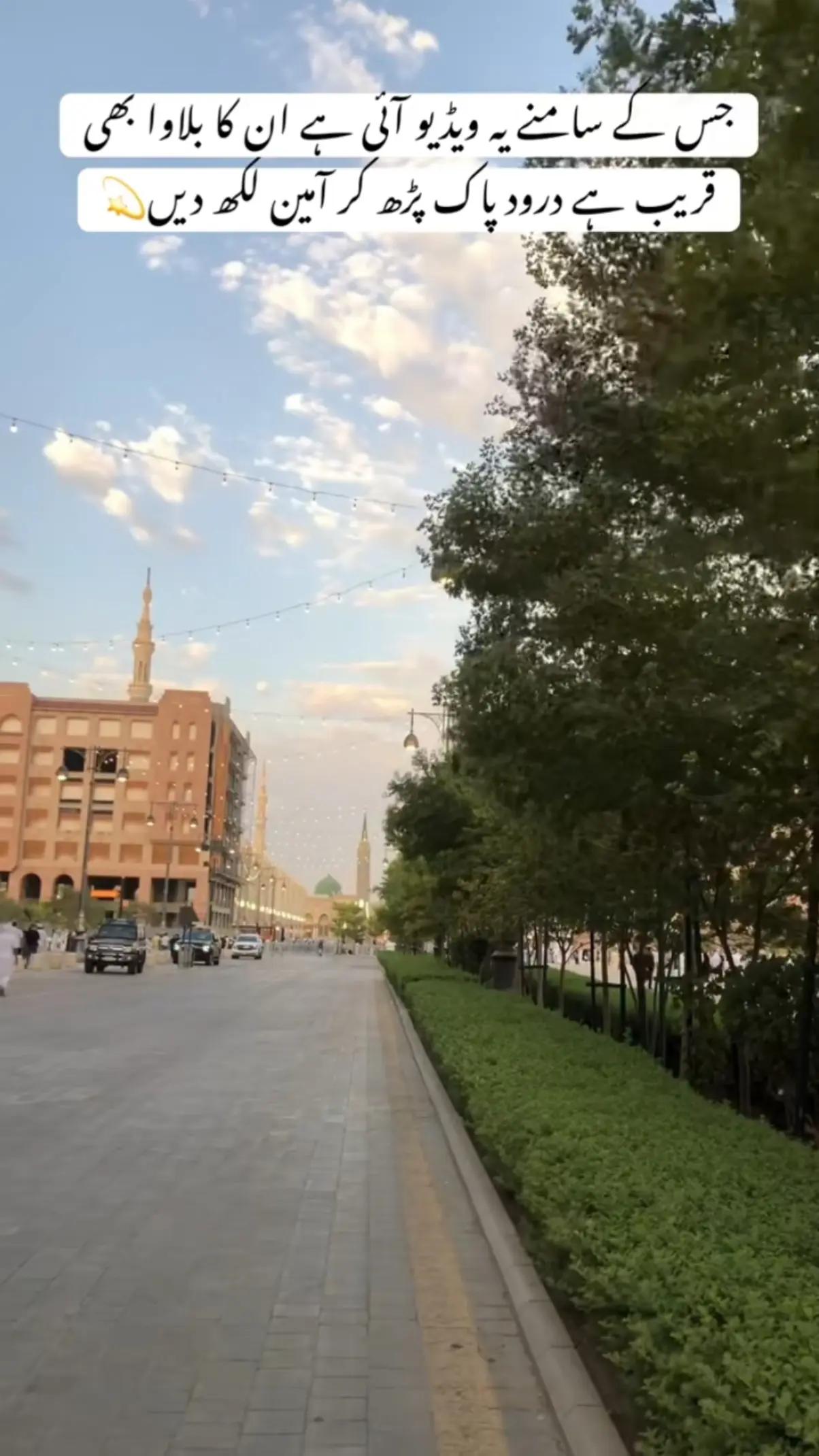 @طحہٰ بادشاہ👑