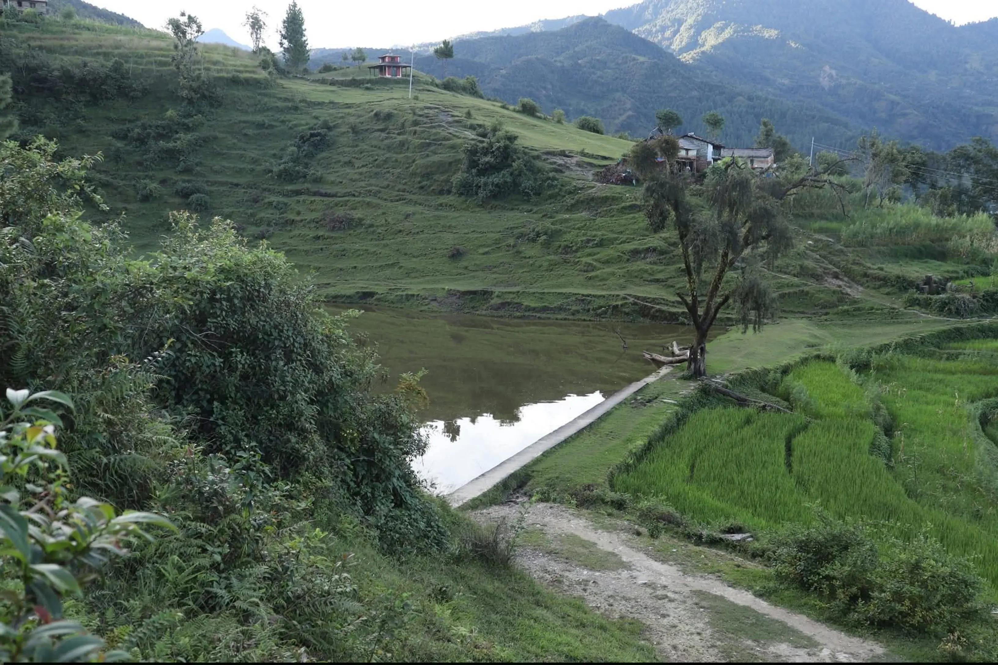 @नानु को प्रेम ( nanuko pream )