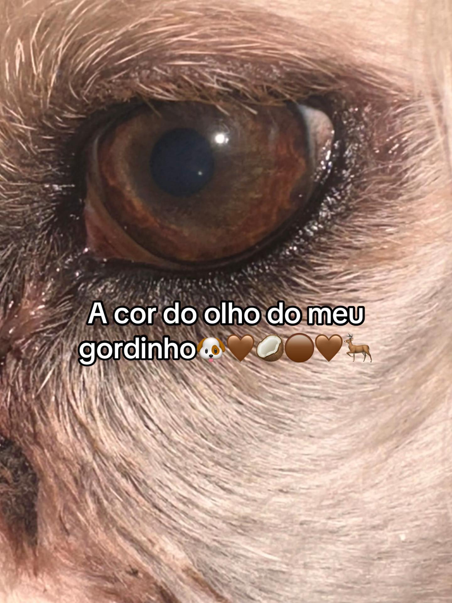 @Giulia Sorriso