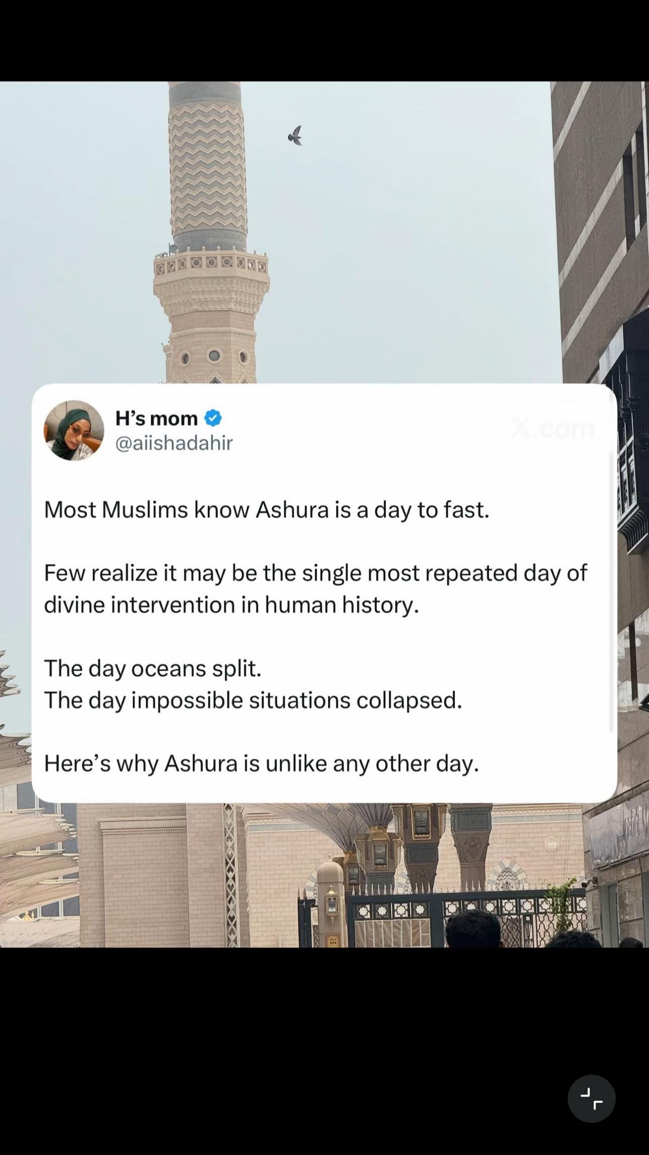 @Areej Iqbal🇵🇰🇬🇧