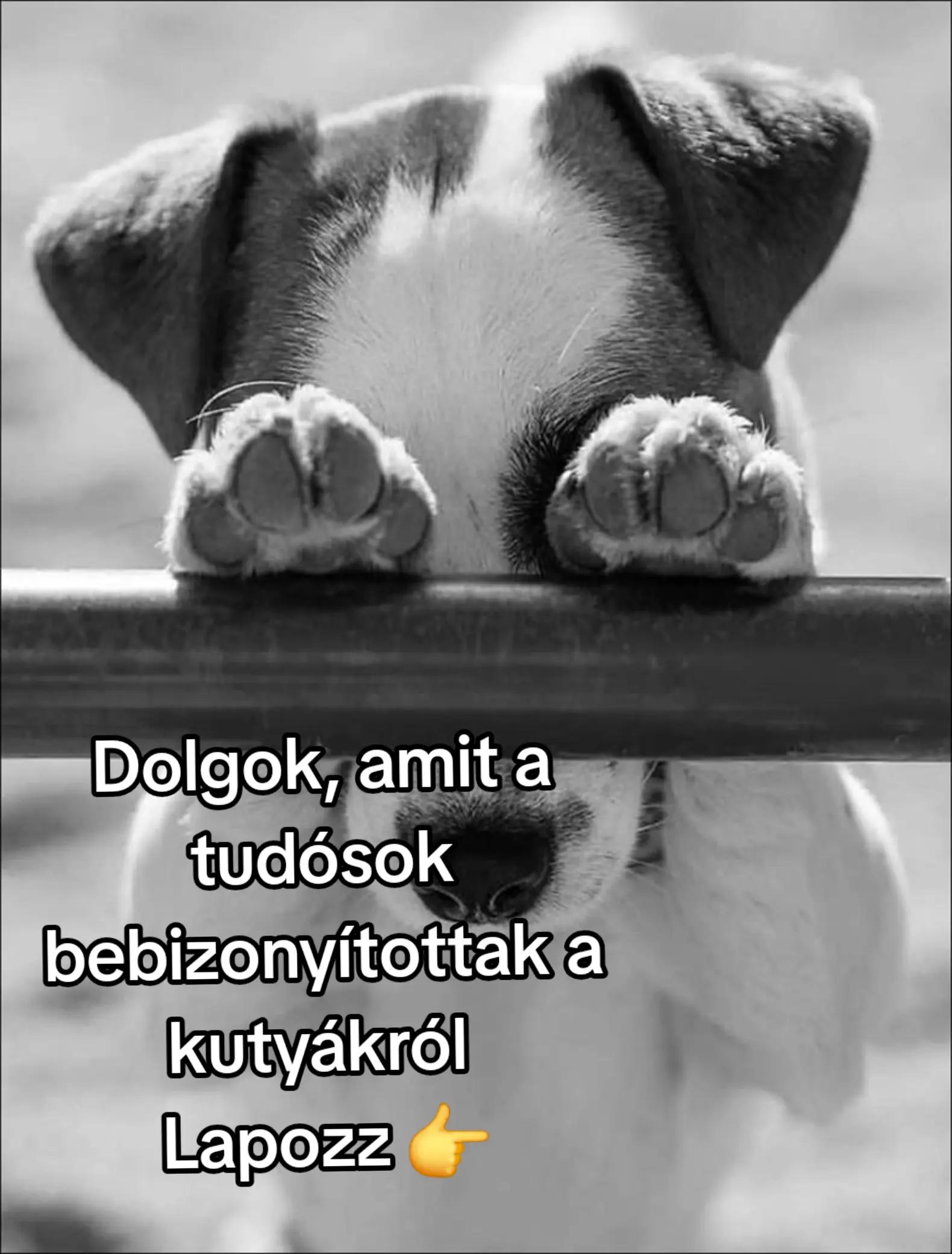 @🌒🔮Dödöllevirág 🧙♀️🌔