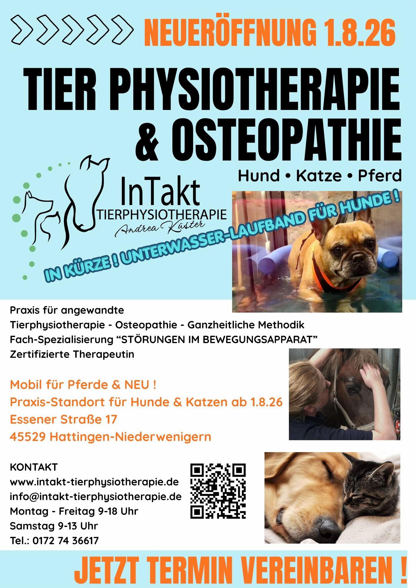 @Pferdephysiotherapie InTakt