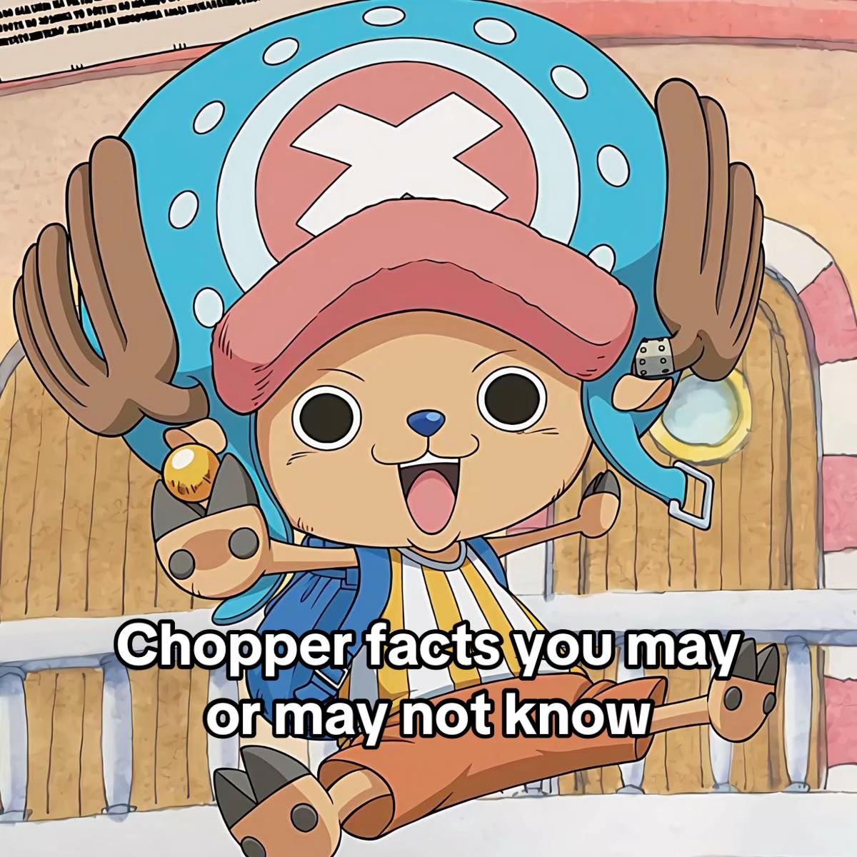 @Joy Boy