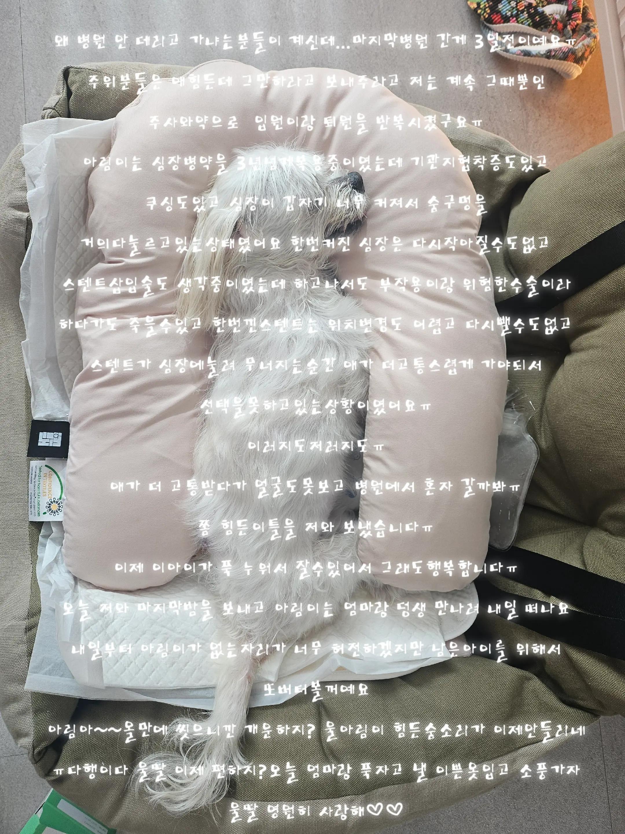@아콩맘♡