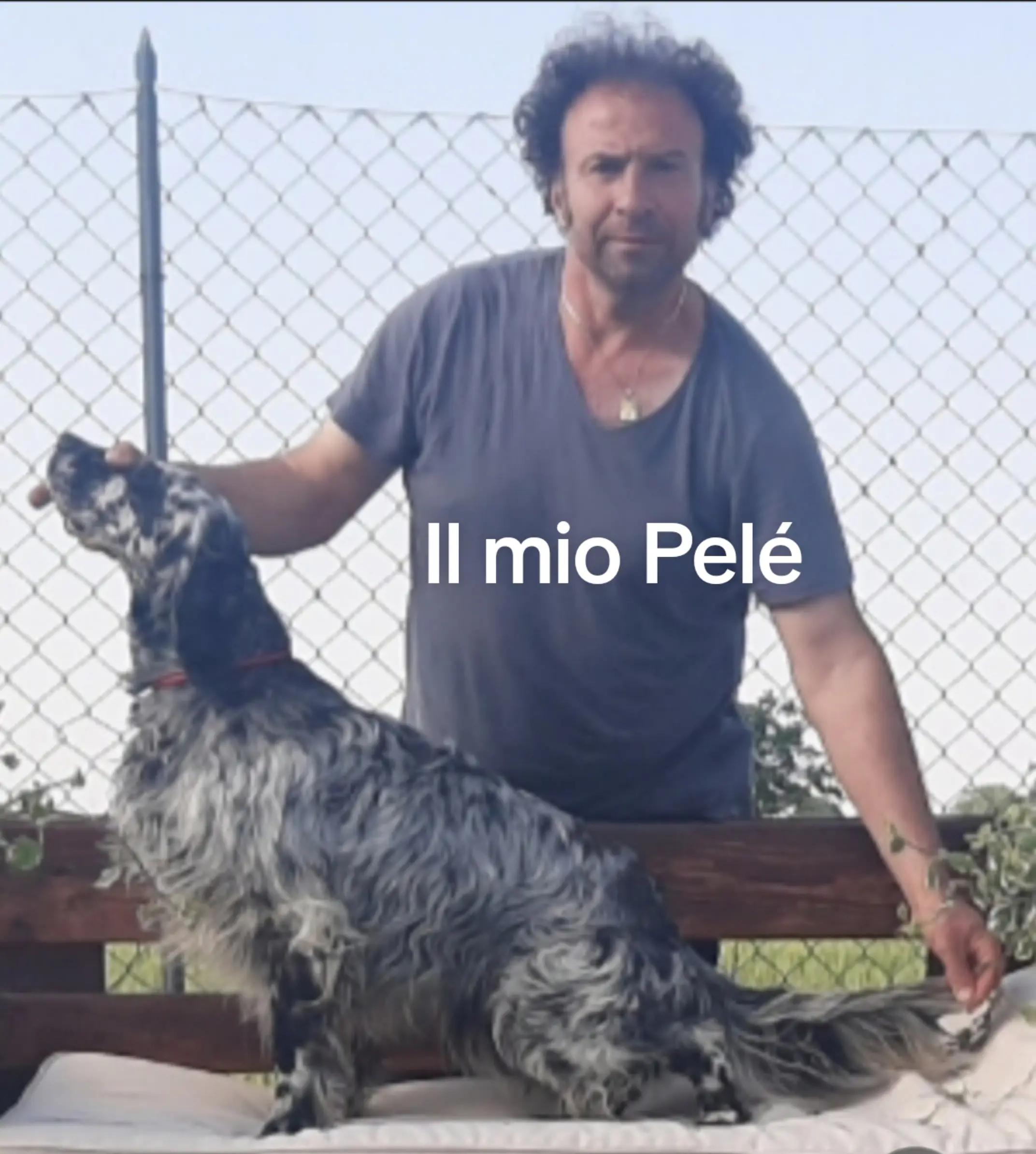 @antoniocasaroricc