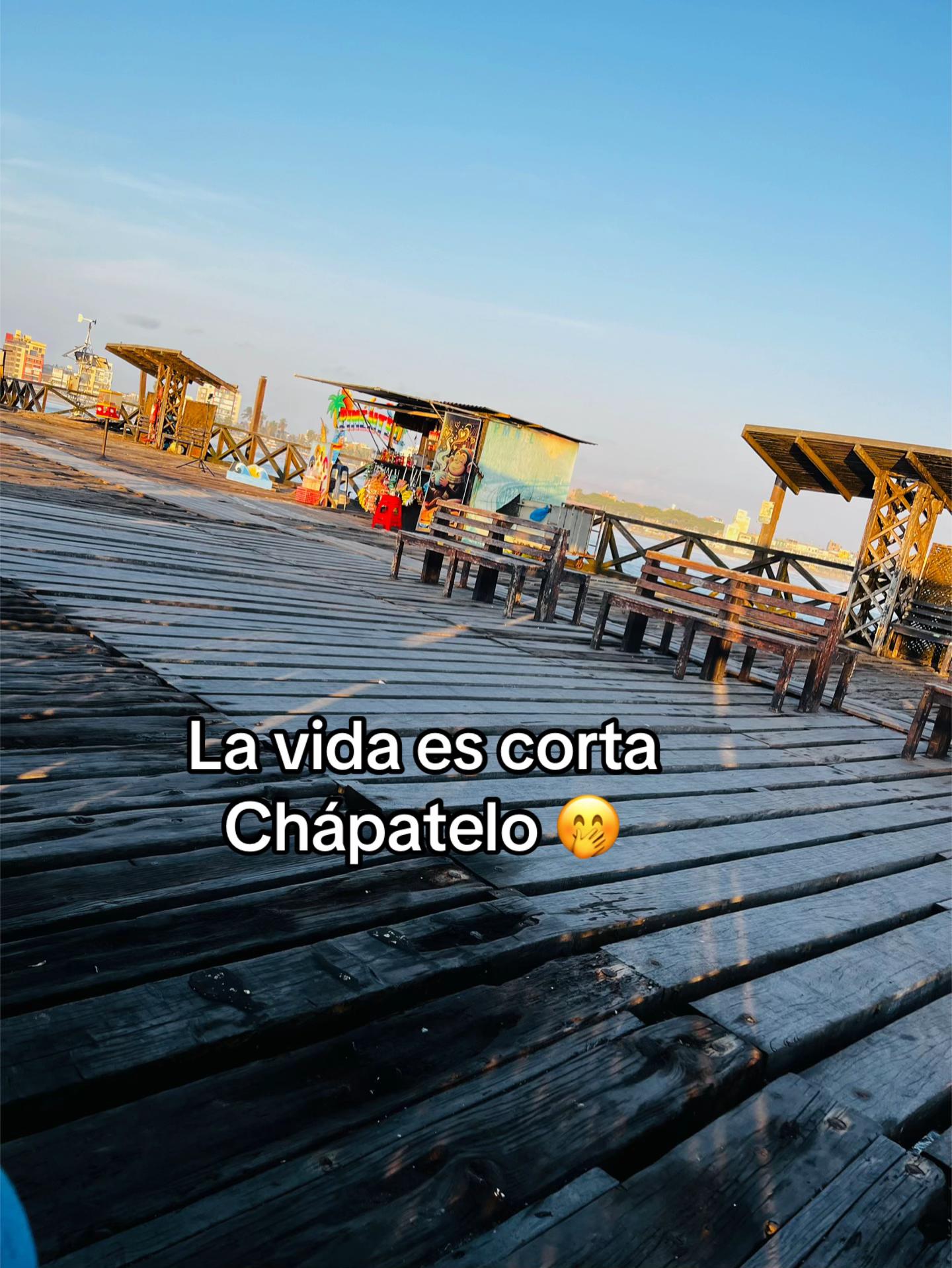 @Antu💙