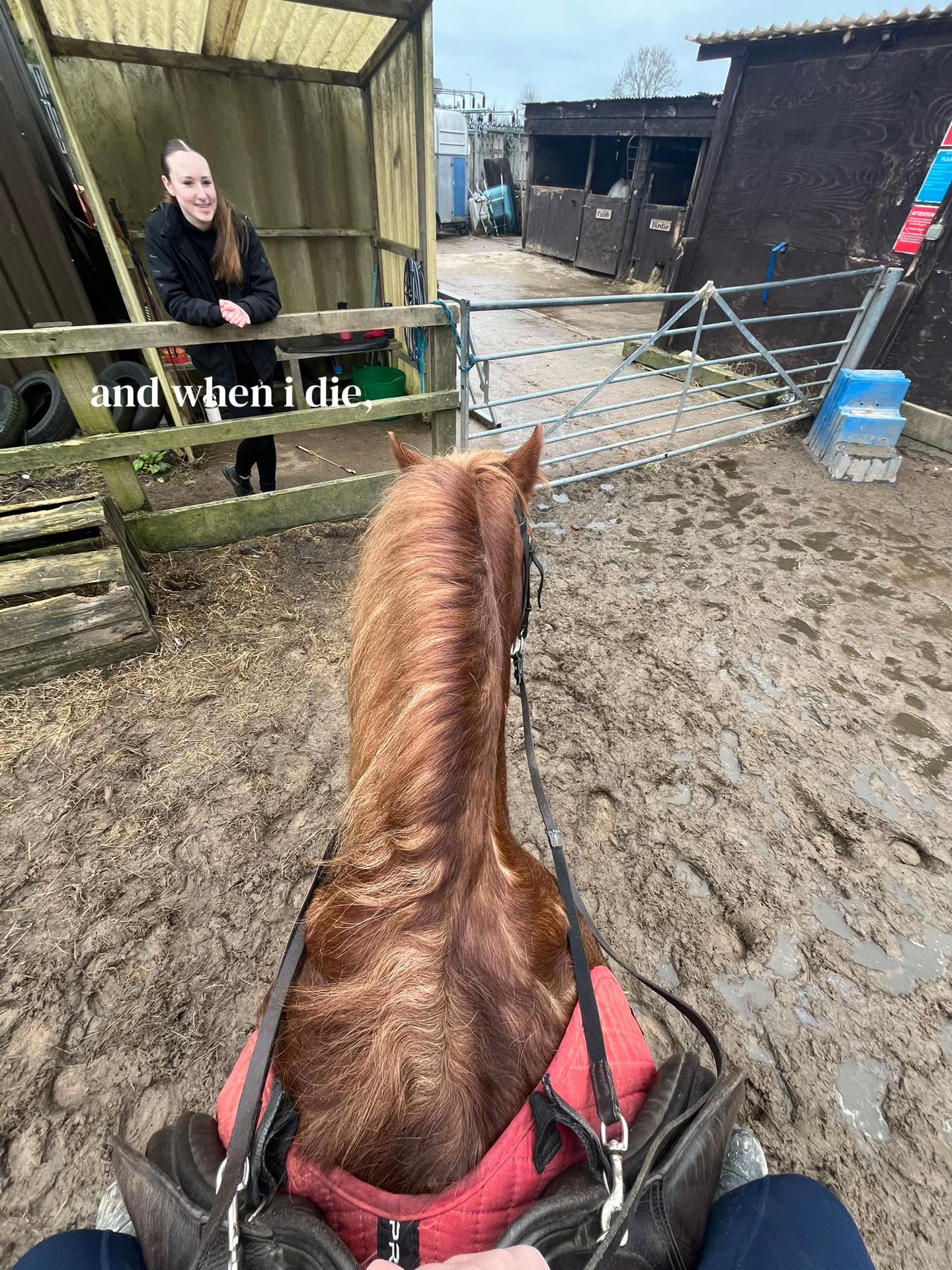 @Colleen🚜🐴💝