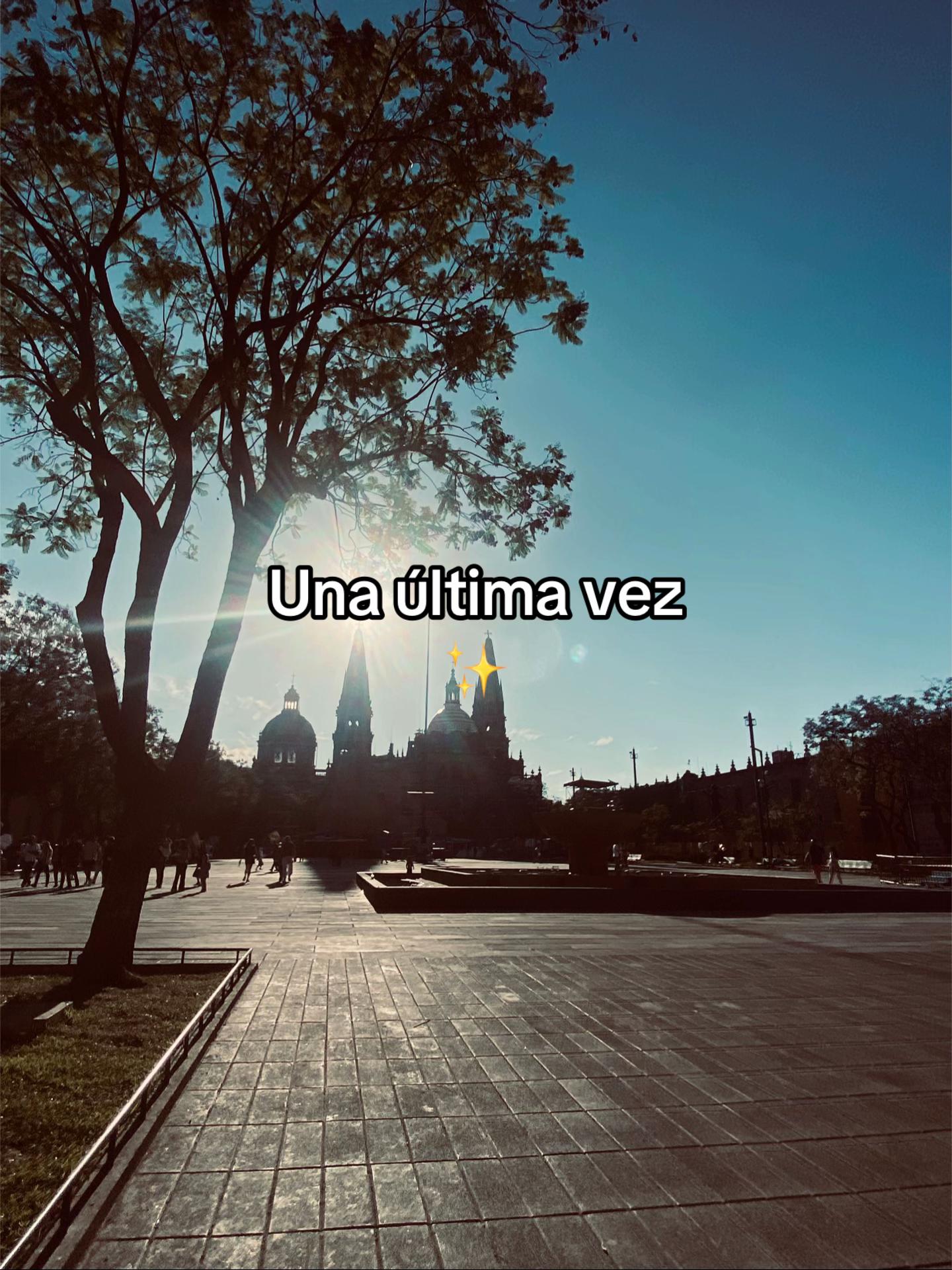 @🪷_Candy_🪷