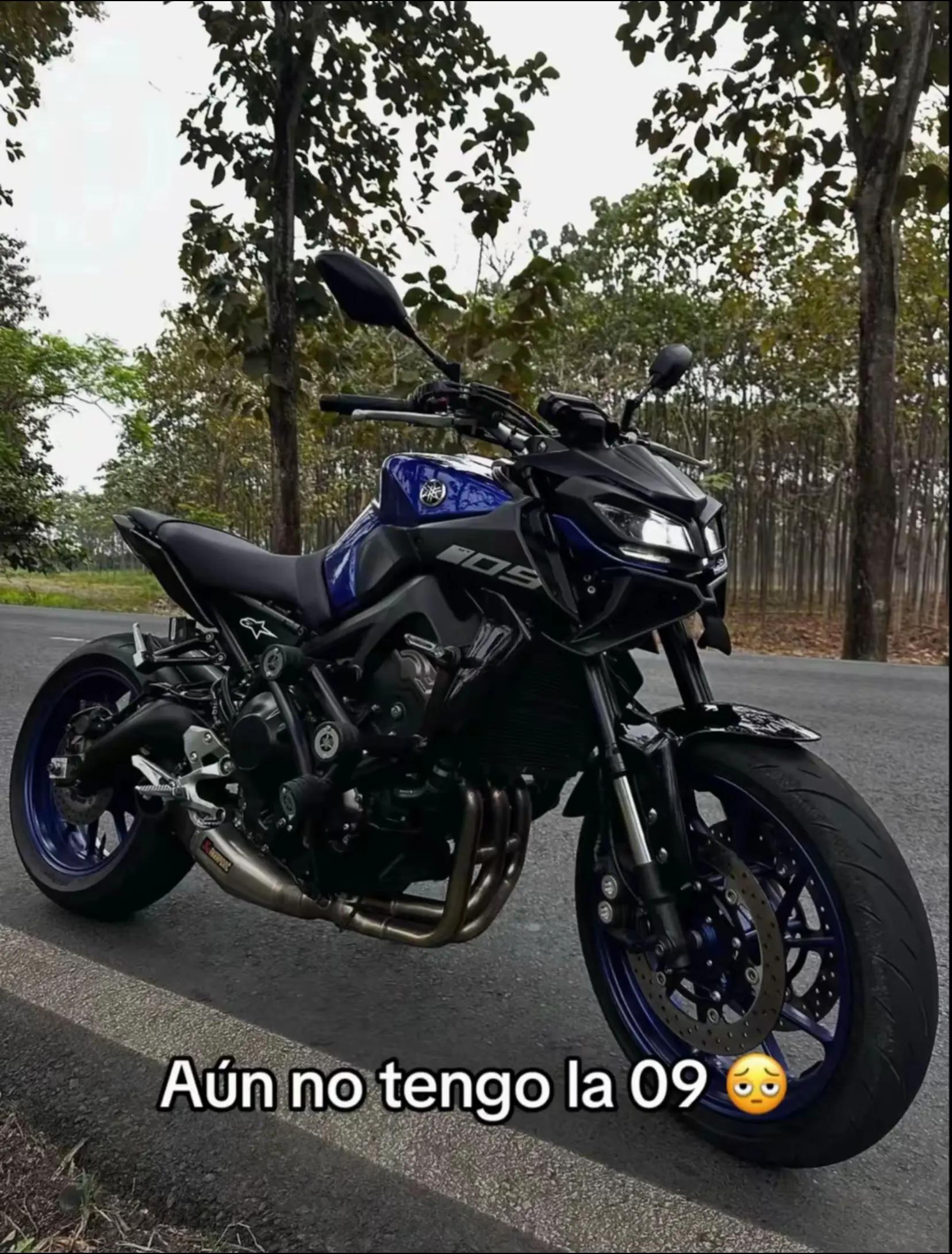 @"Ever🐊⚓💂🏻&zwj;♀️🇬🇹"