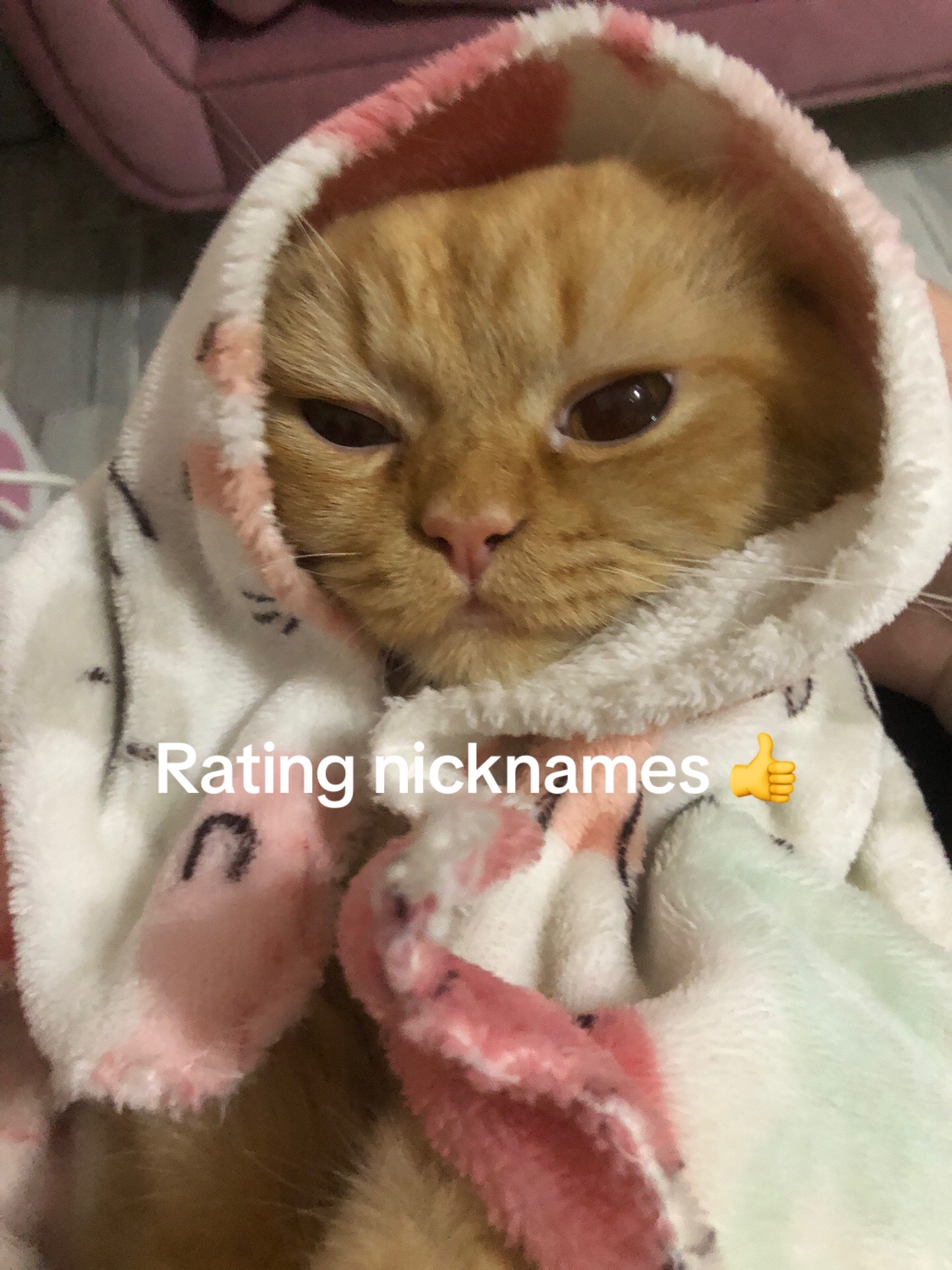 @remamo_