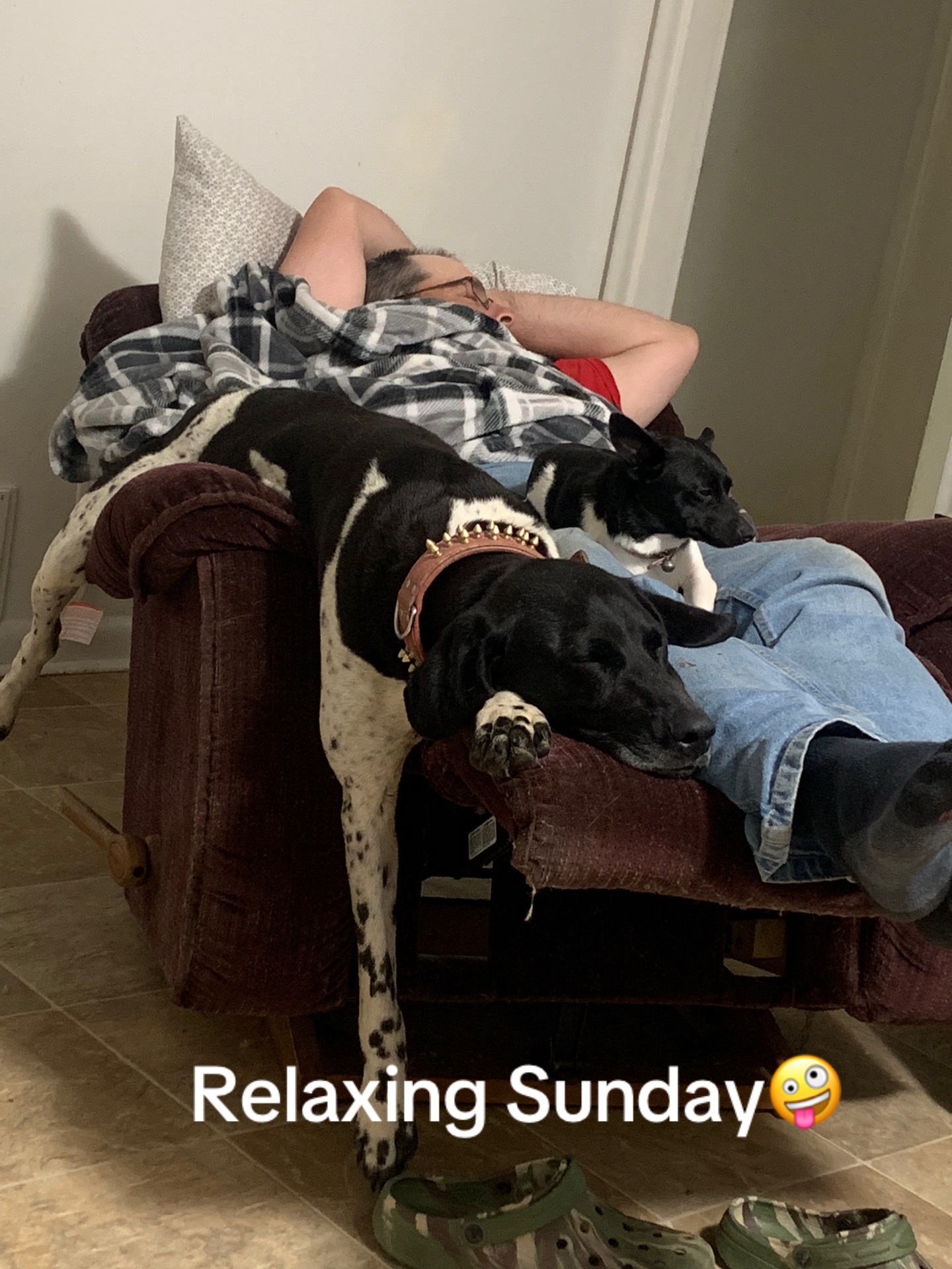 @lovinglifewithpuppies🐾🇨🇦🐾