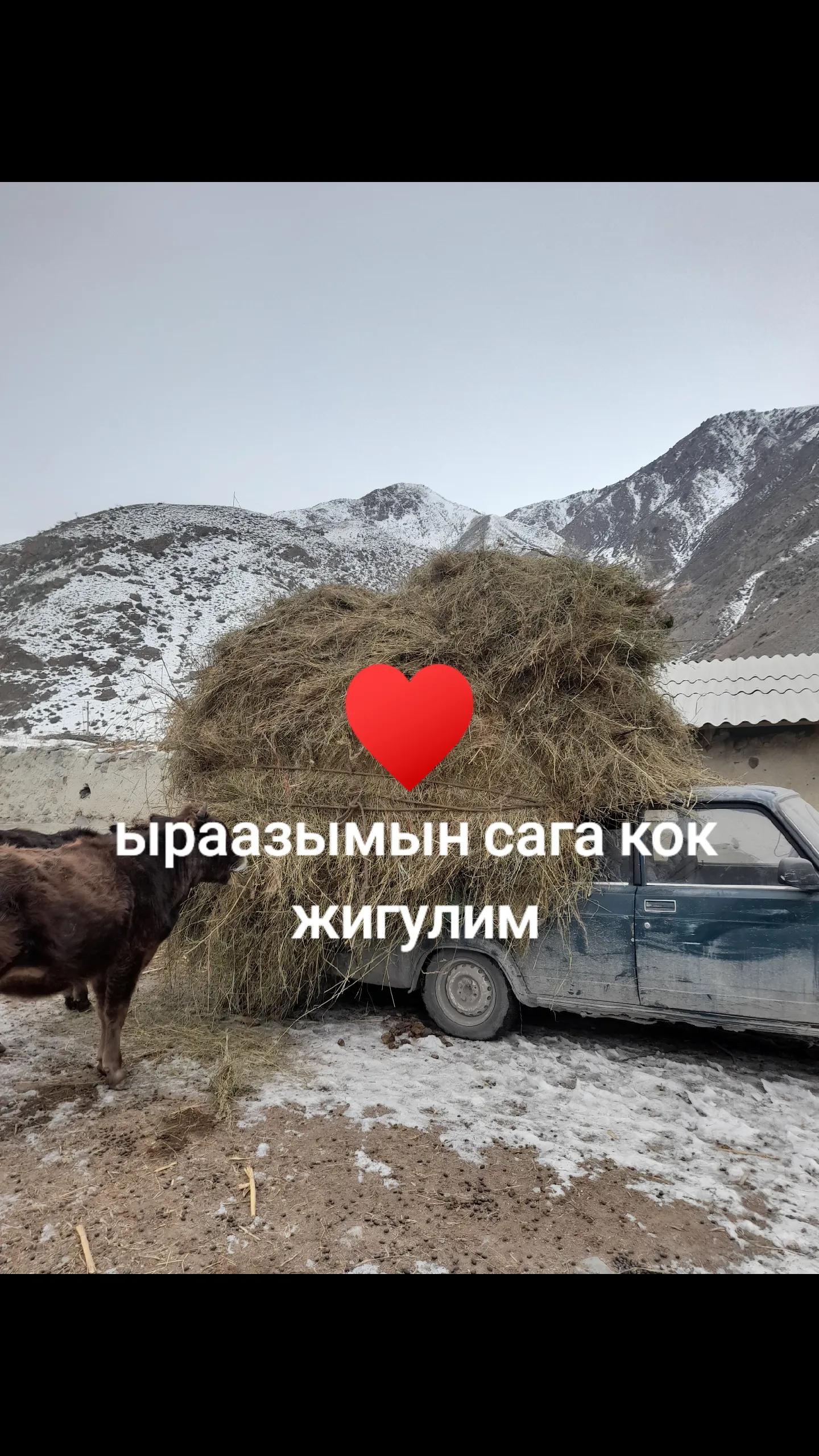 @Kahar__