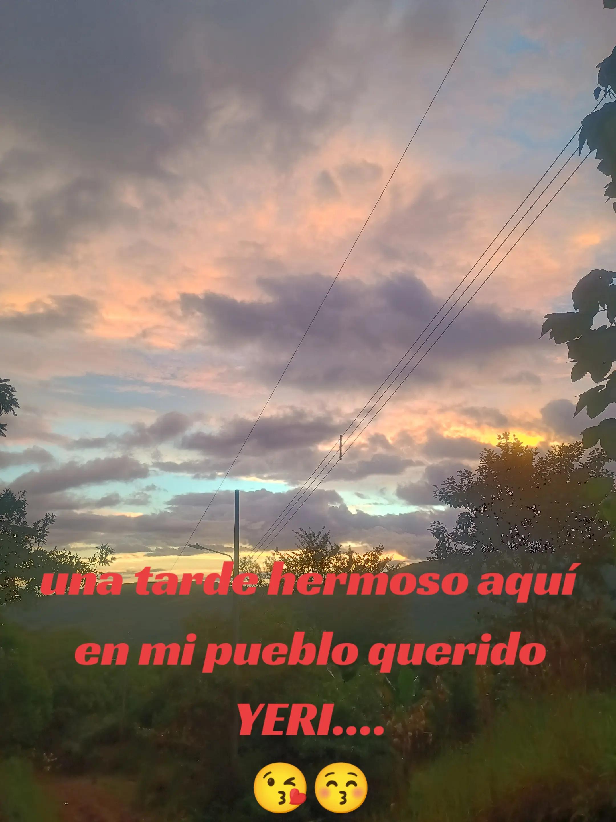 @Pedro Rojas