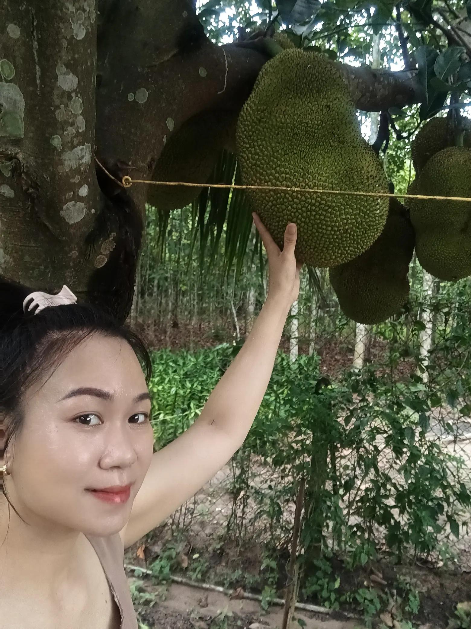 @Tạp h&oacute;a Khang Khang