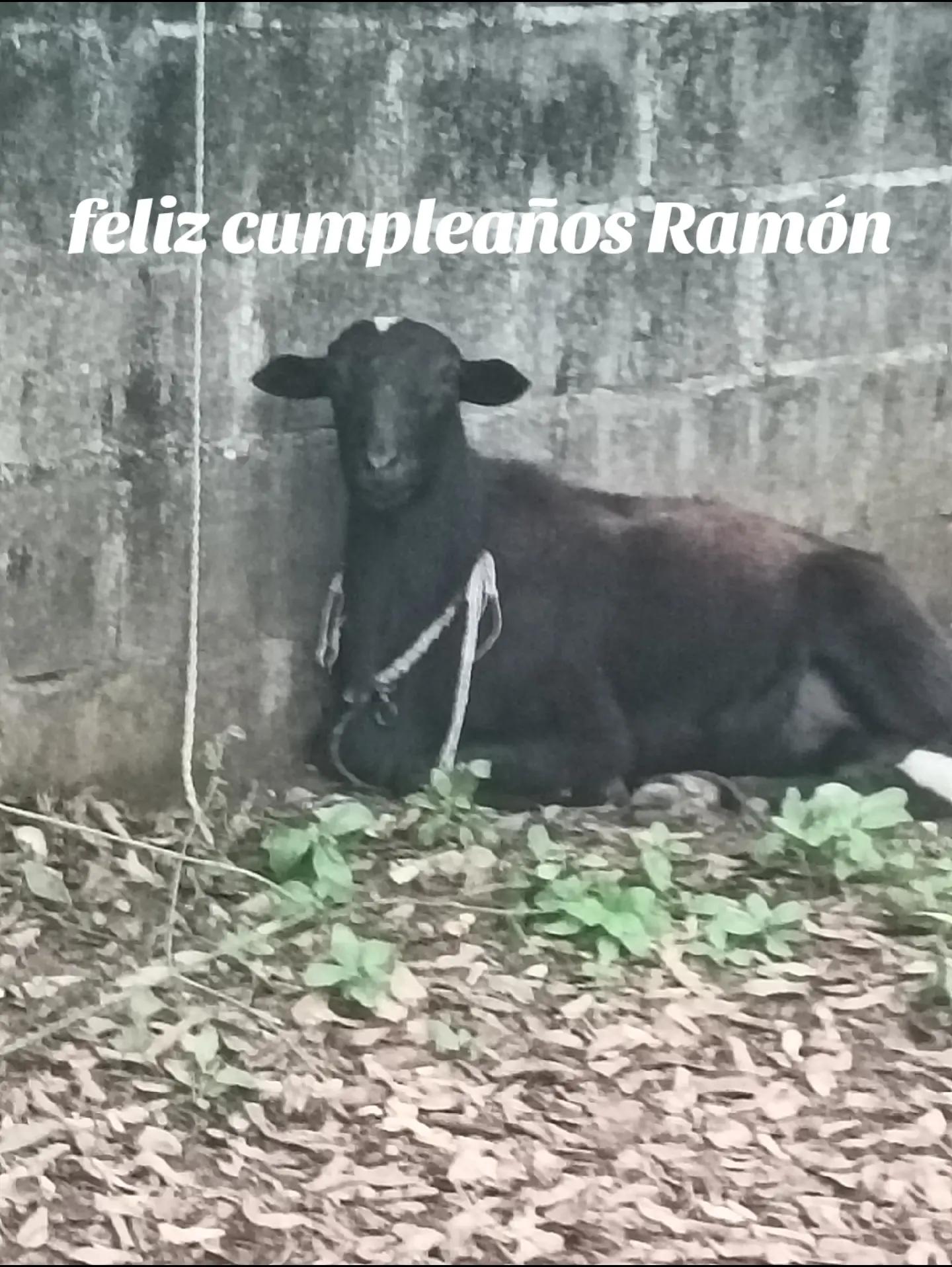 @el fan del uno