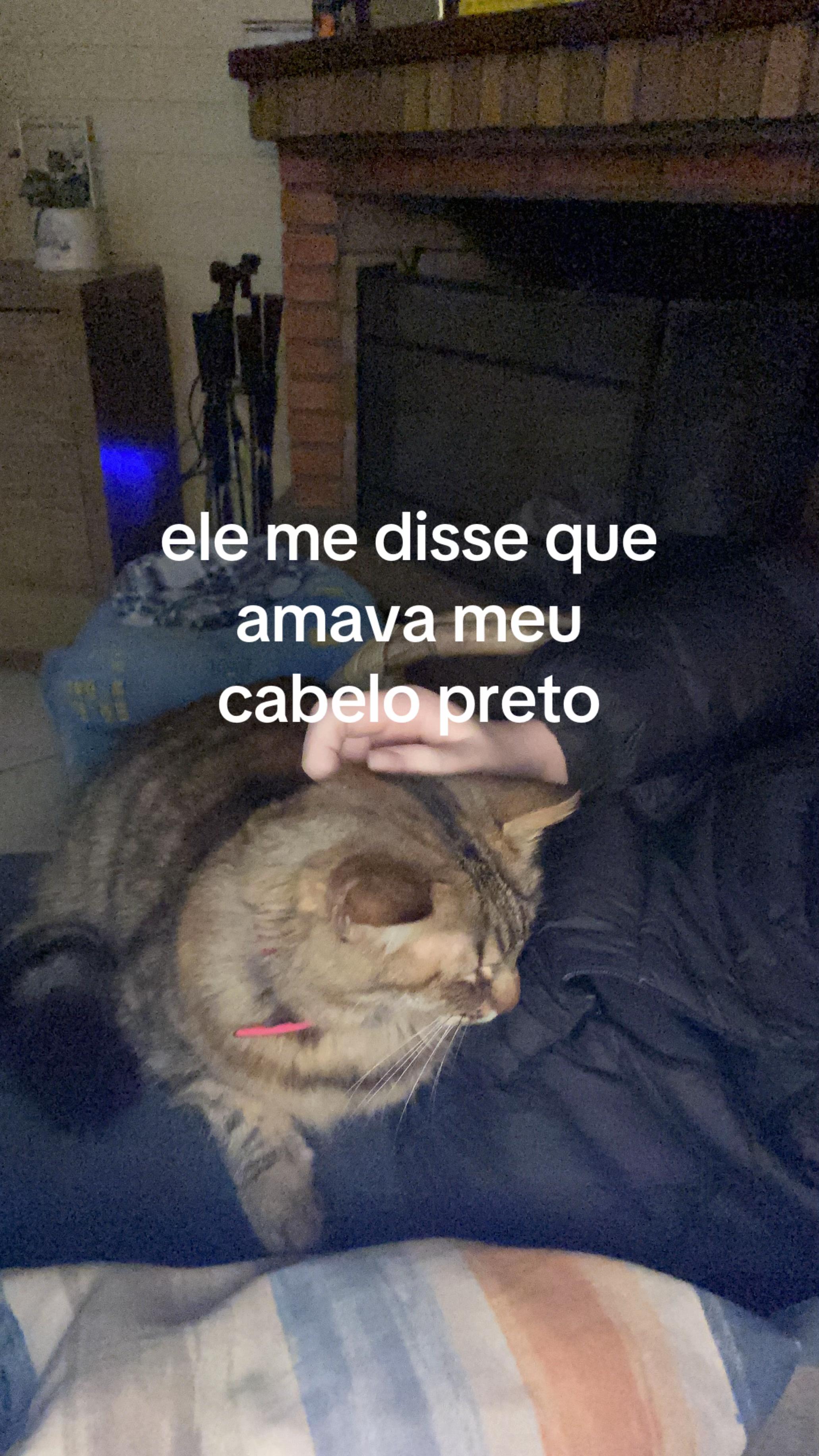 @não é a julia