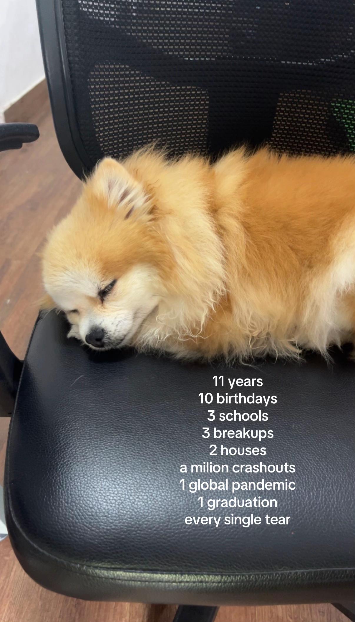 @ava🧸