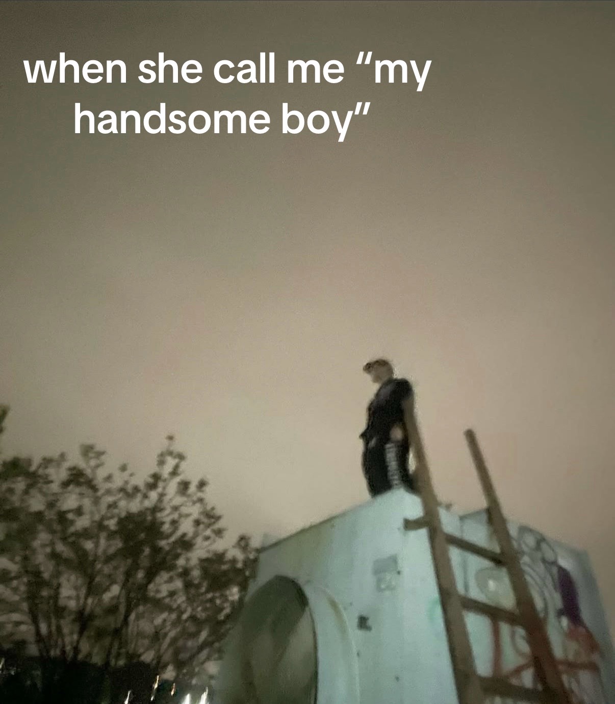 @812tbird