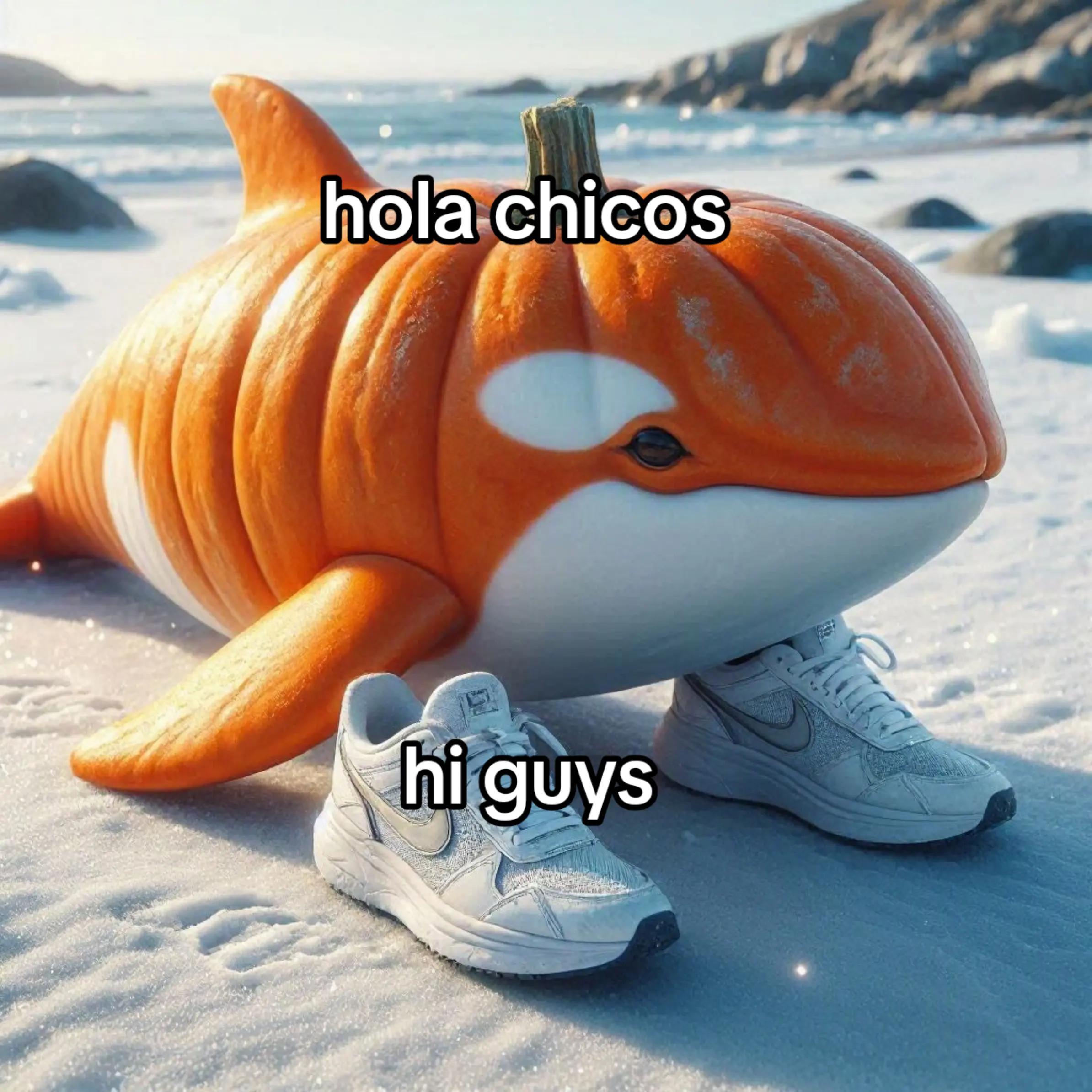 @LCR