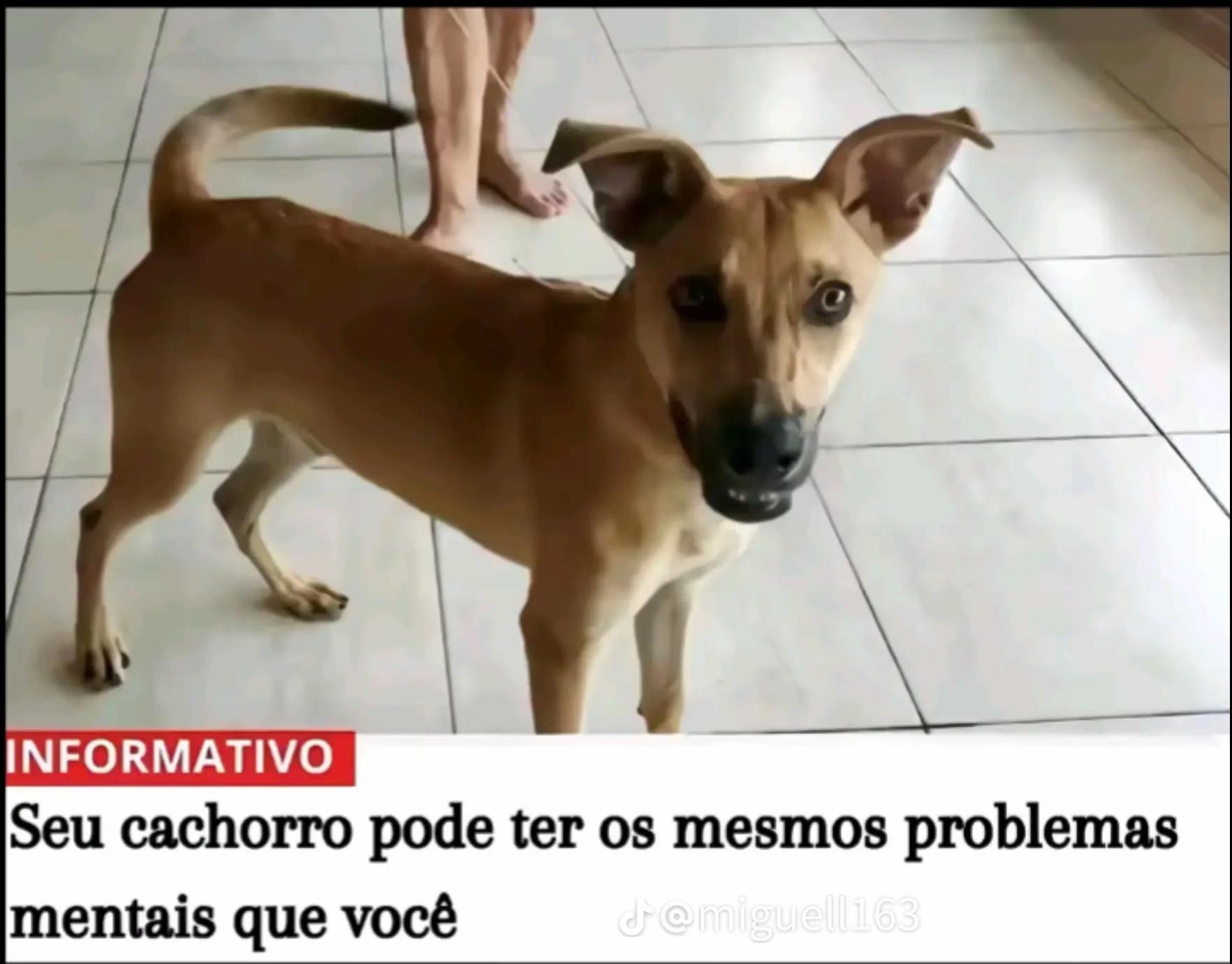 @Luan Matheus