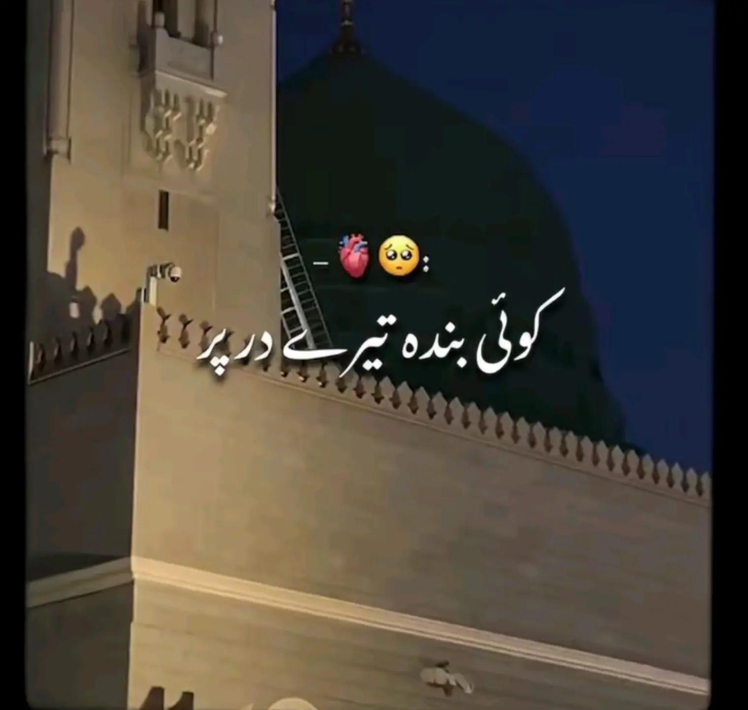 @HUMAIR. 46🐯🐯