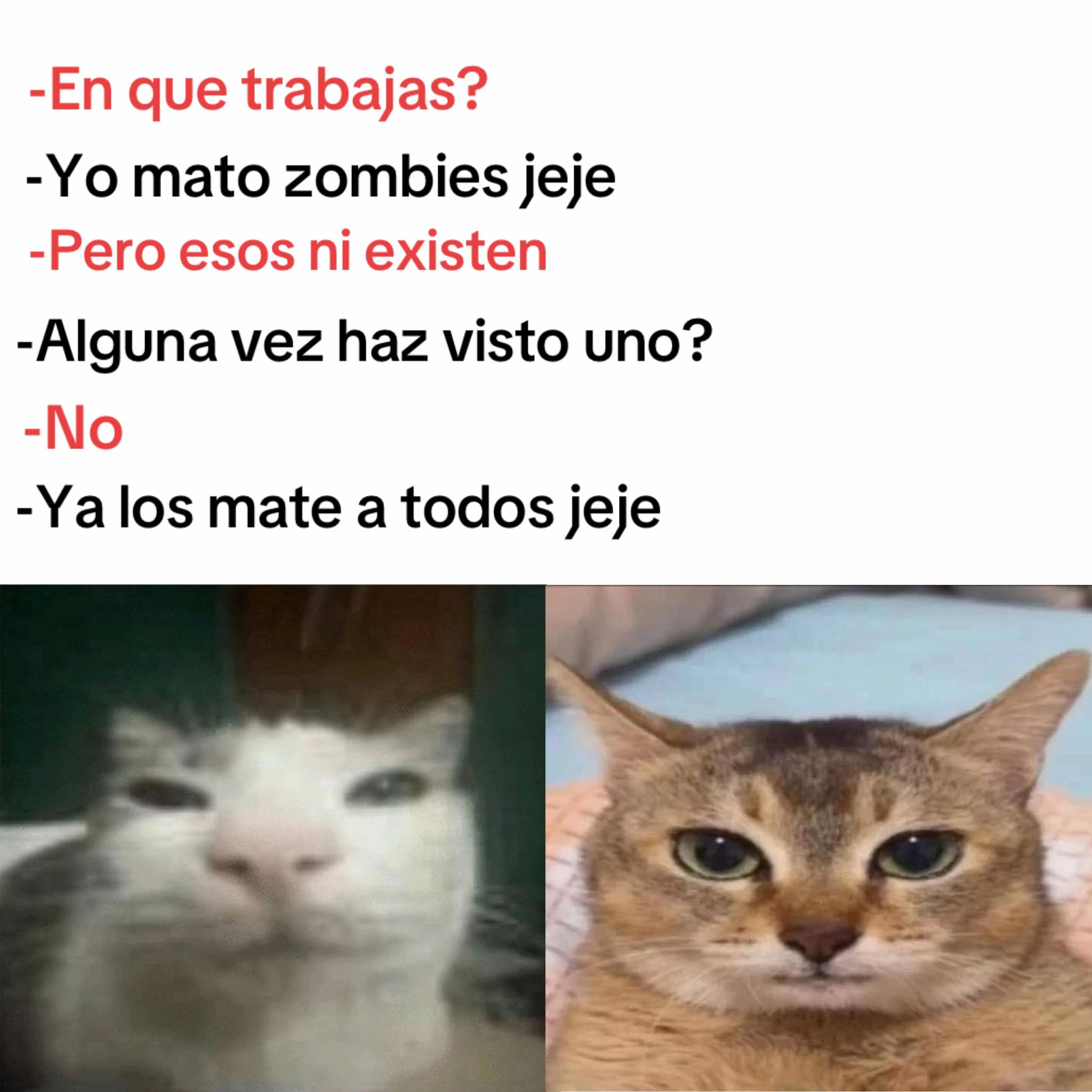@momazosnegromarronjeje