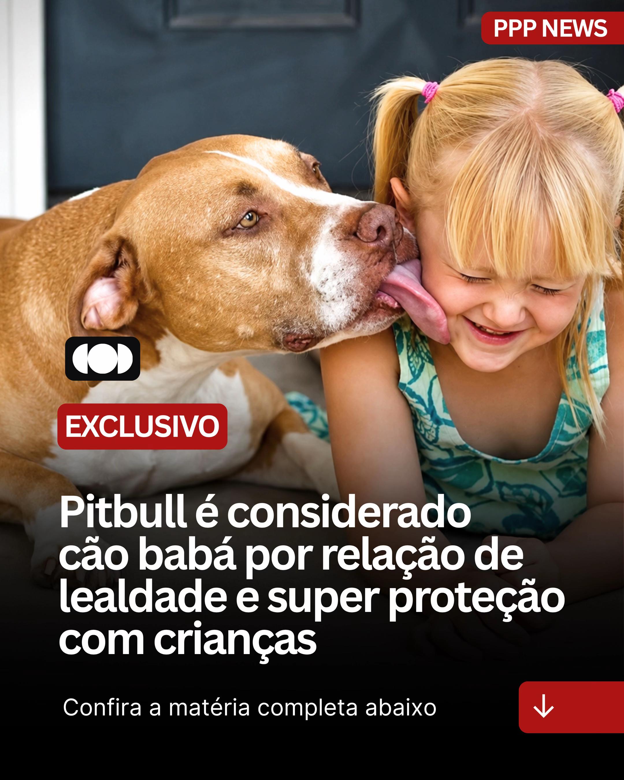 @PITBULL PLANET