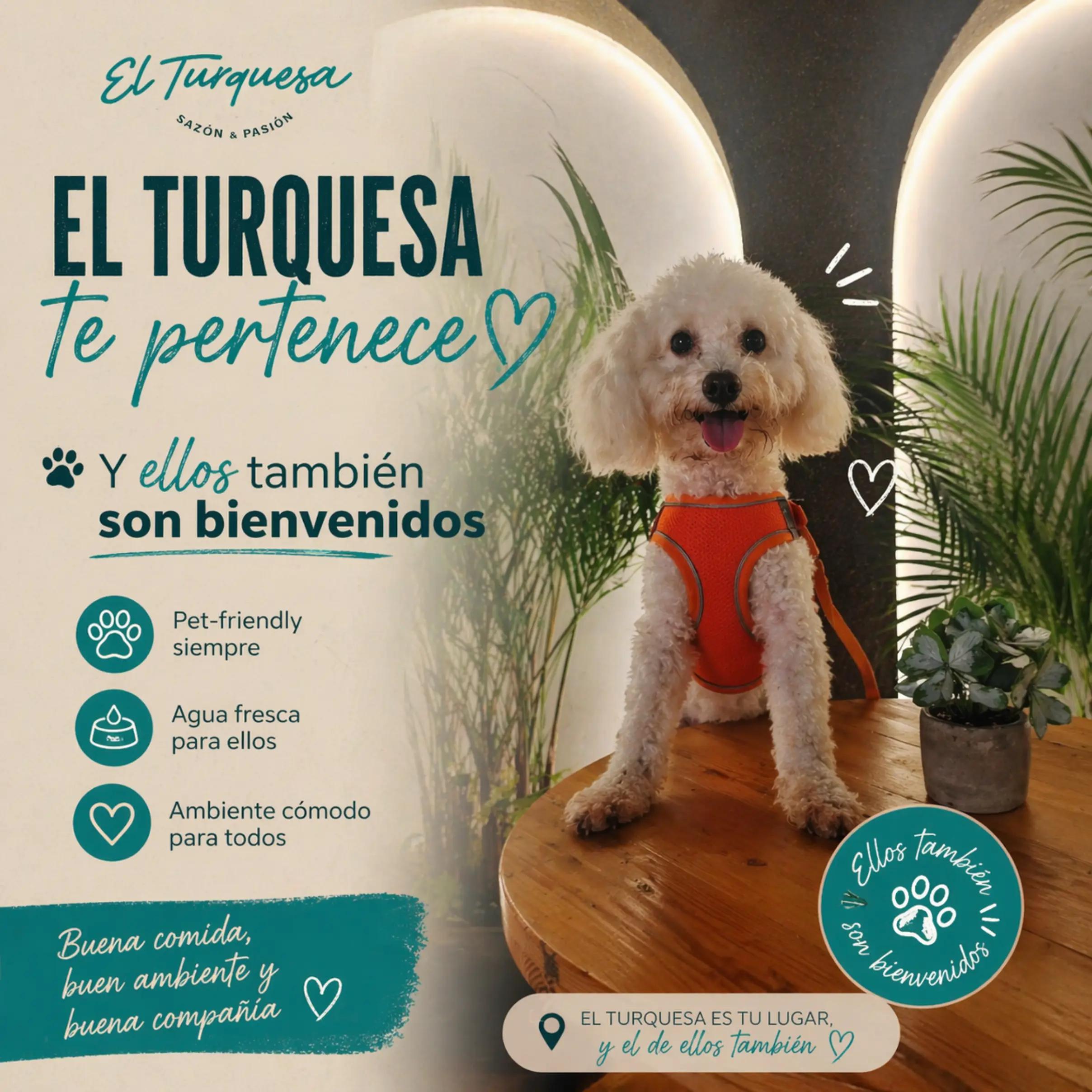 @El Turquesa Scz