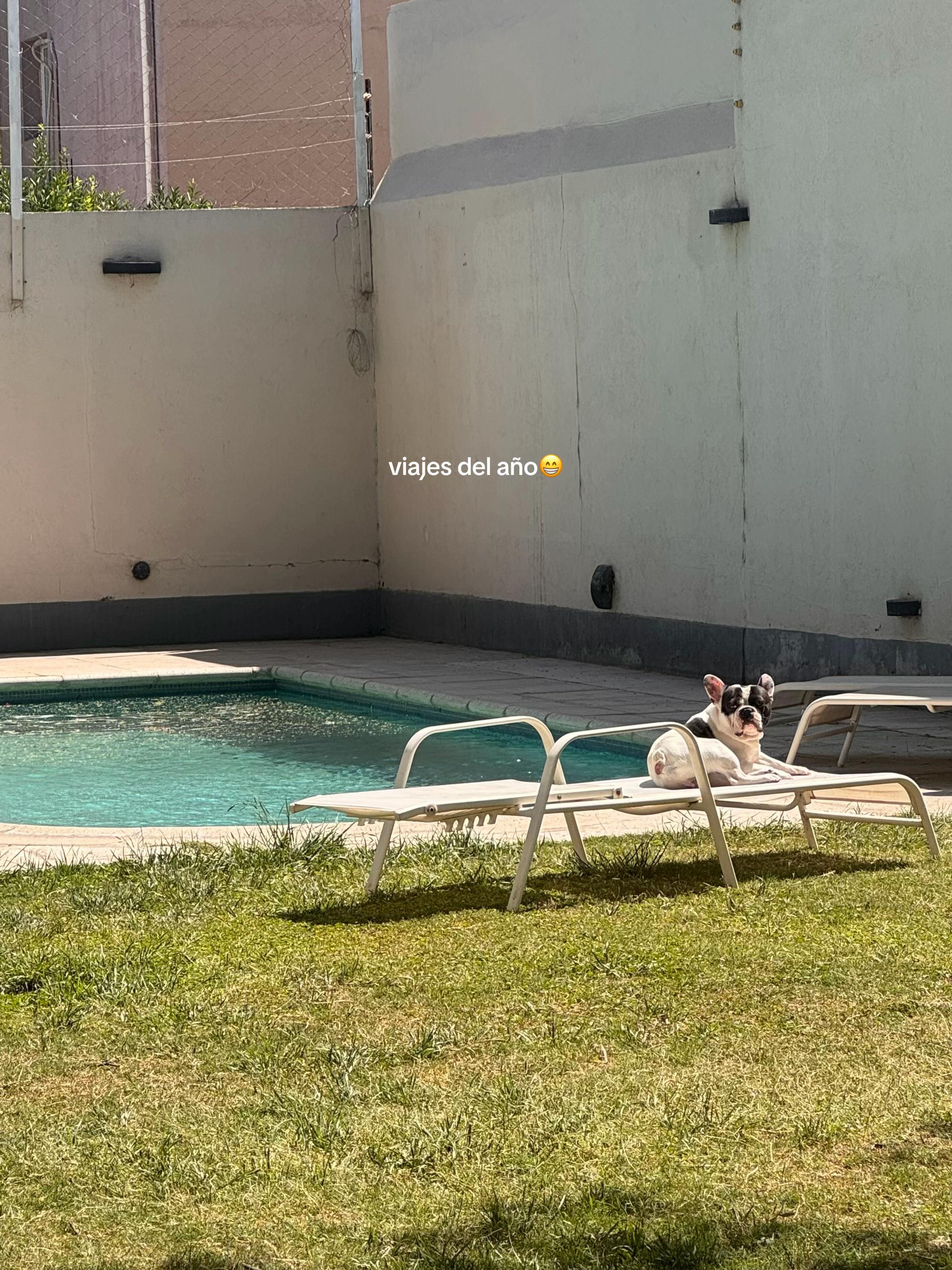 @Guille