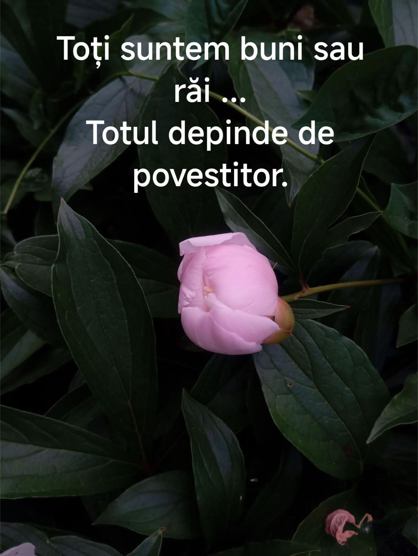 @Găbița