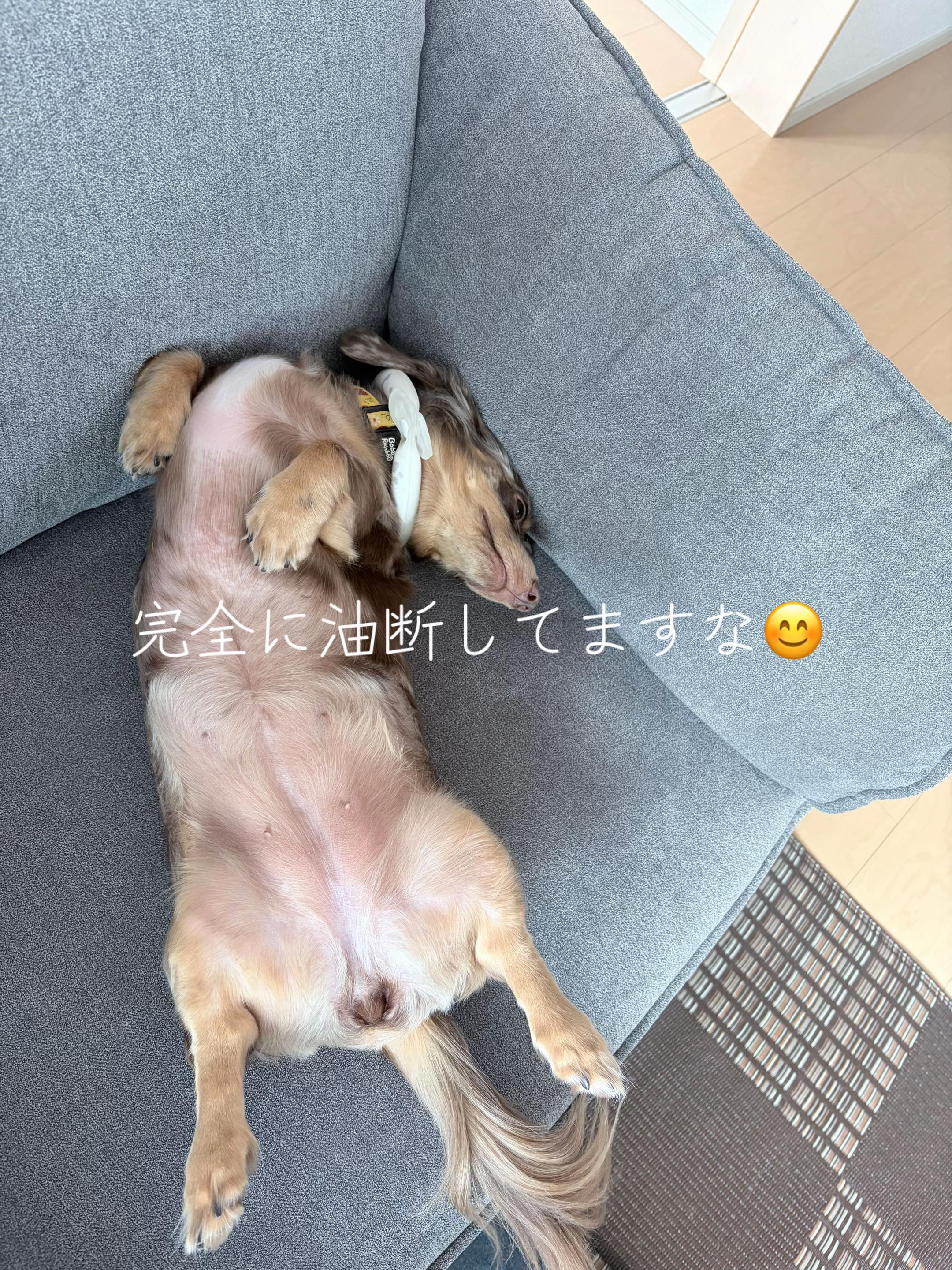 @ケン