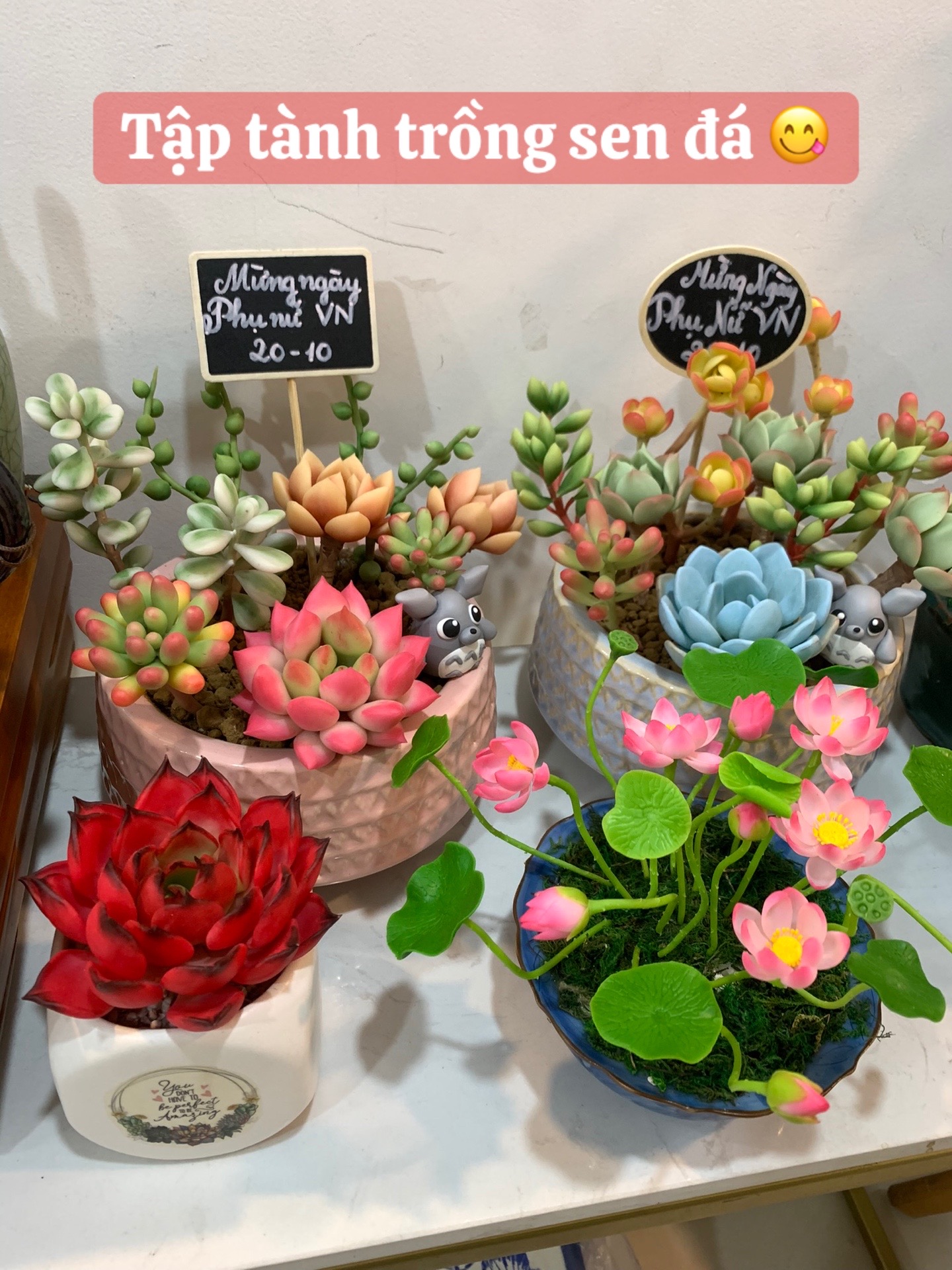 @Shop Của Nữ Ho&agrave;ng Đất S&eacute;t