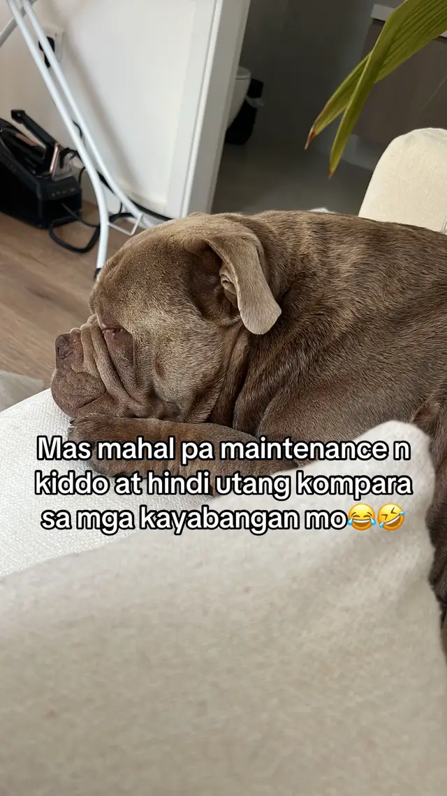 @๐ฆ๐ต๐ญ๐ฆ๐ช๐ฆ
