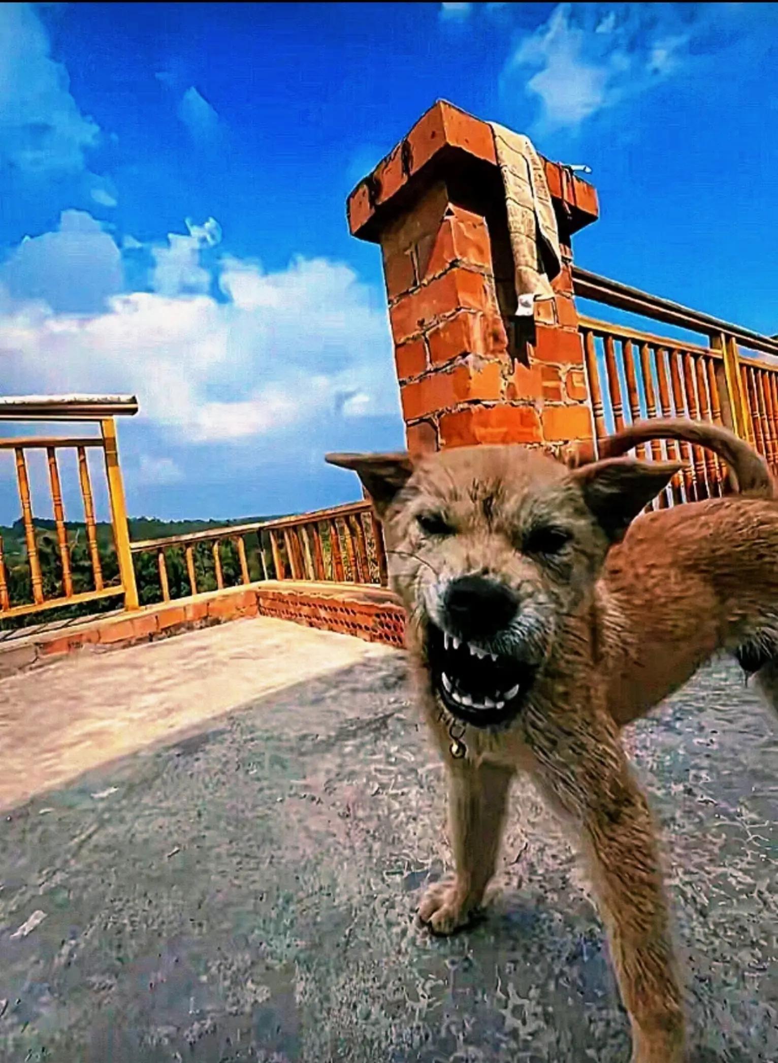 @APILOO🇧🇷