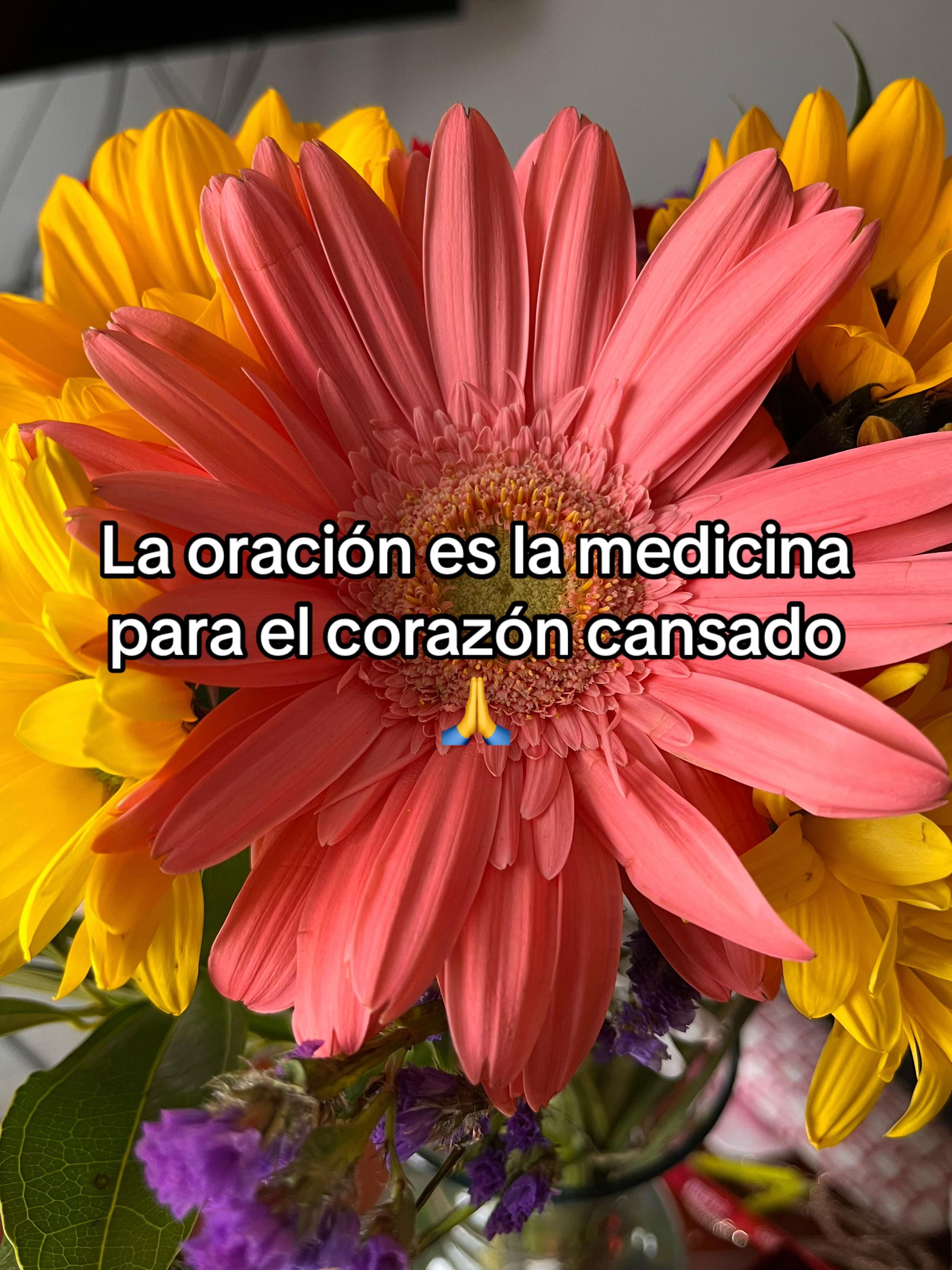 @Adriana L