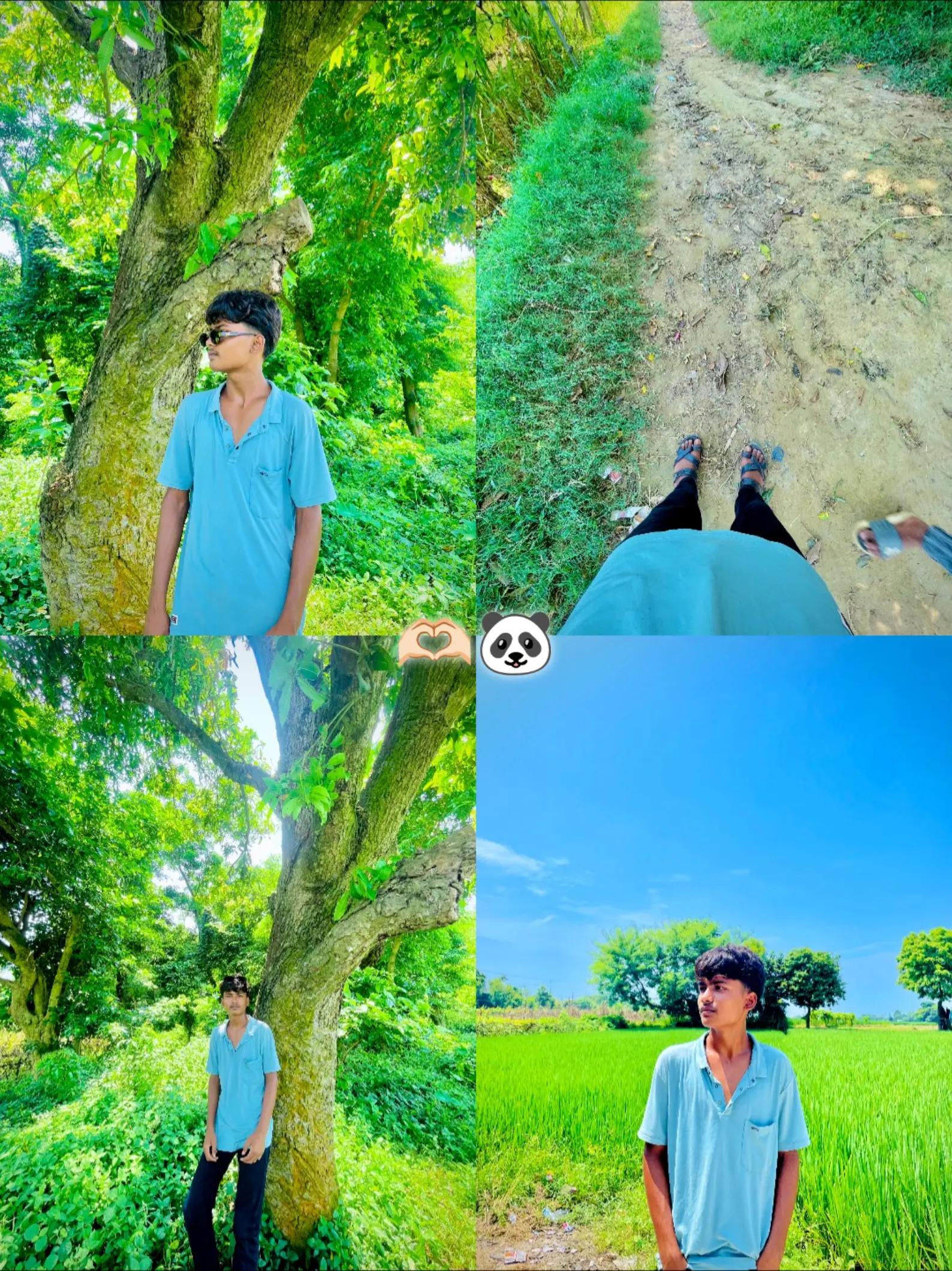 @๐ฆ โก