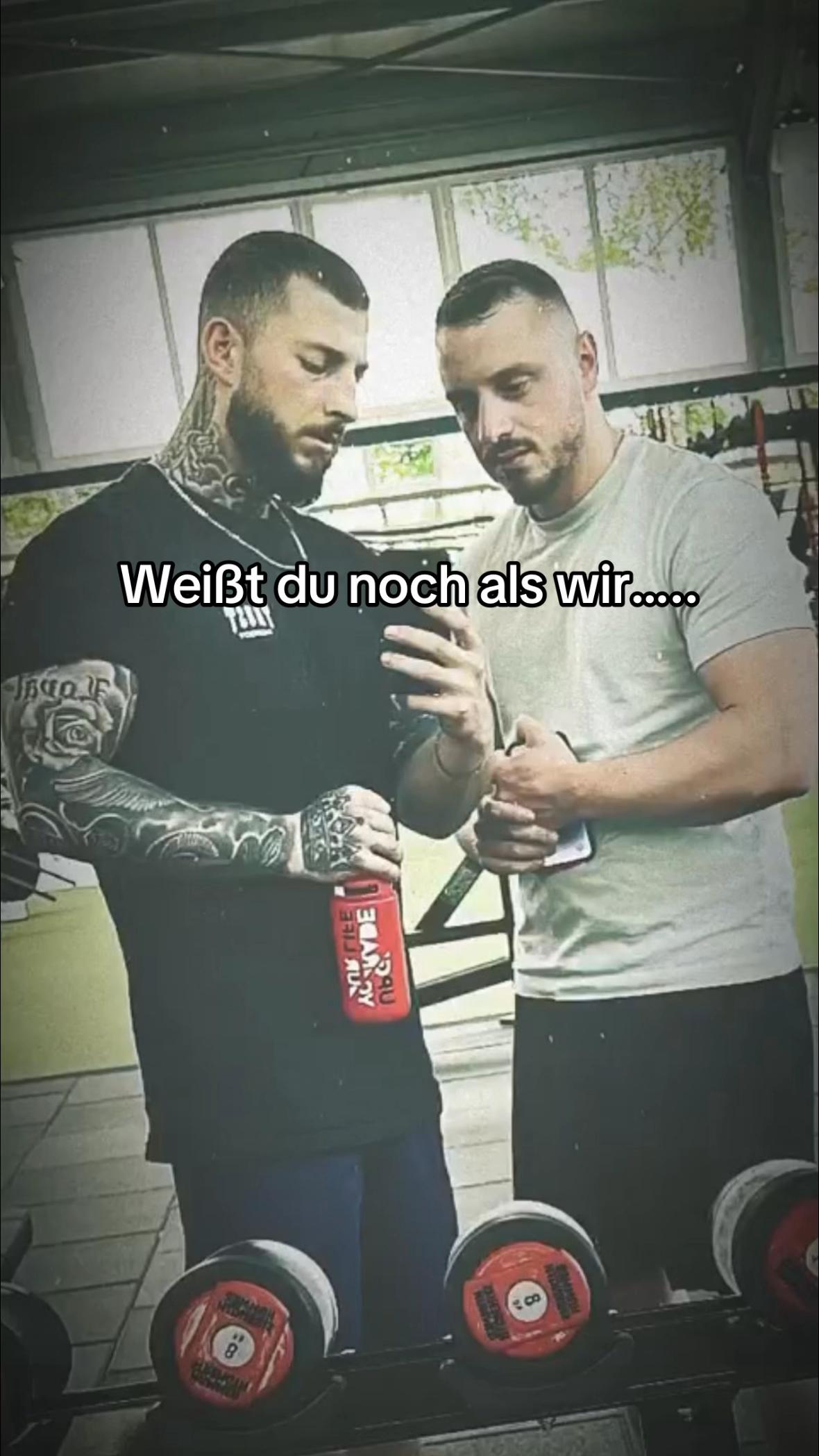 @steltoo
