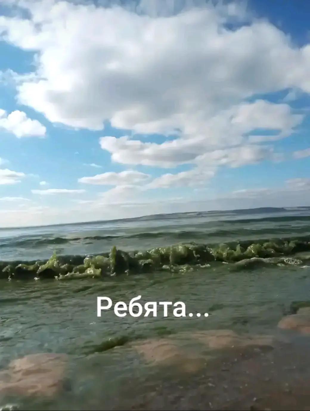 @𓆩ꨄ𓆪м.а.н.ю.н.я 𓆩ꨄ𓆪