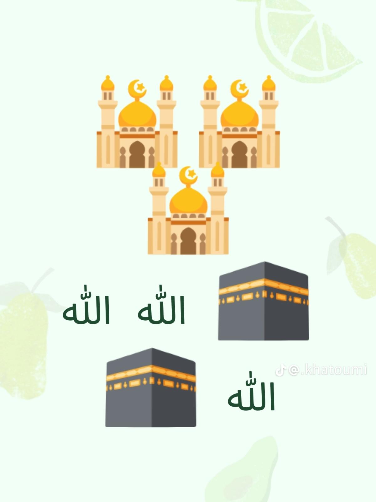 @༺👑༻ زَكِـي