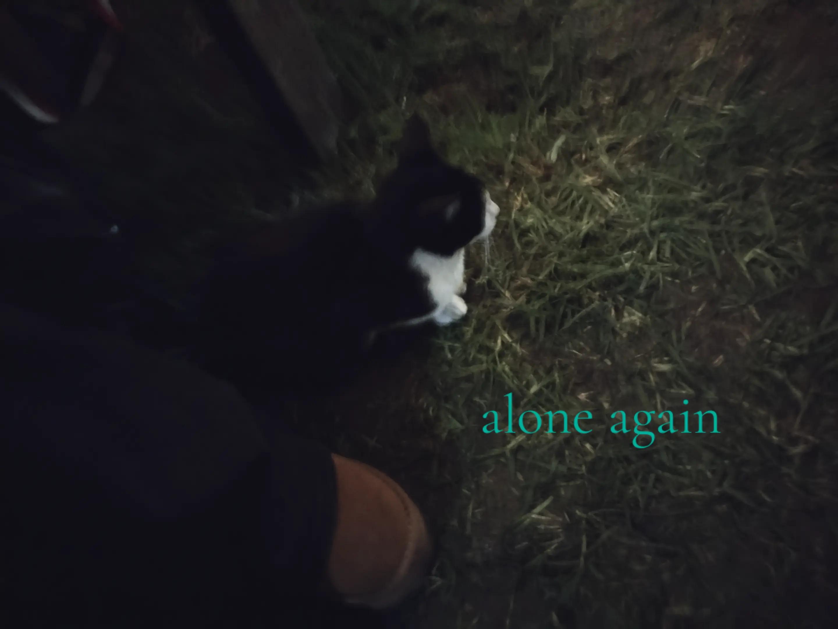 @𝖛𝖎𝖛𝖎𝖆𝖓𝖆_𝖒𝖉𝖇