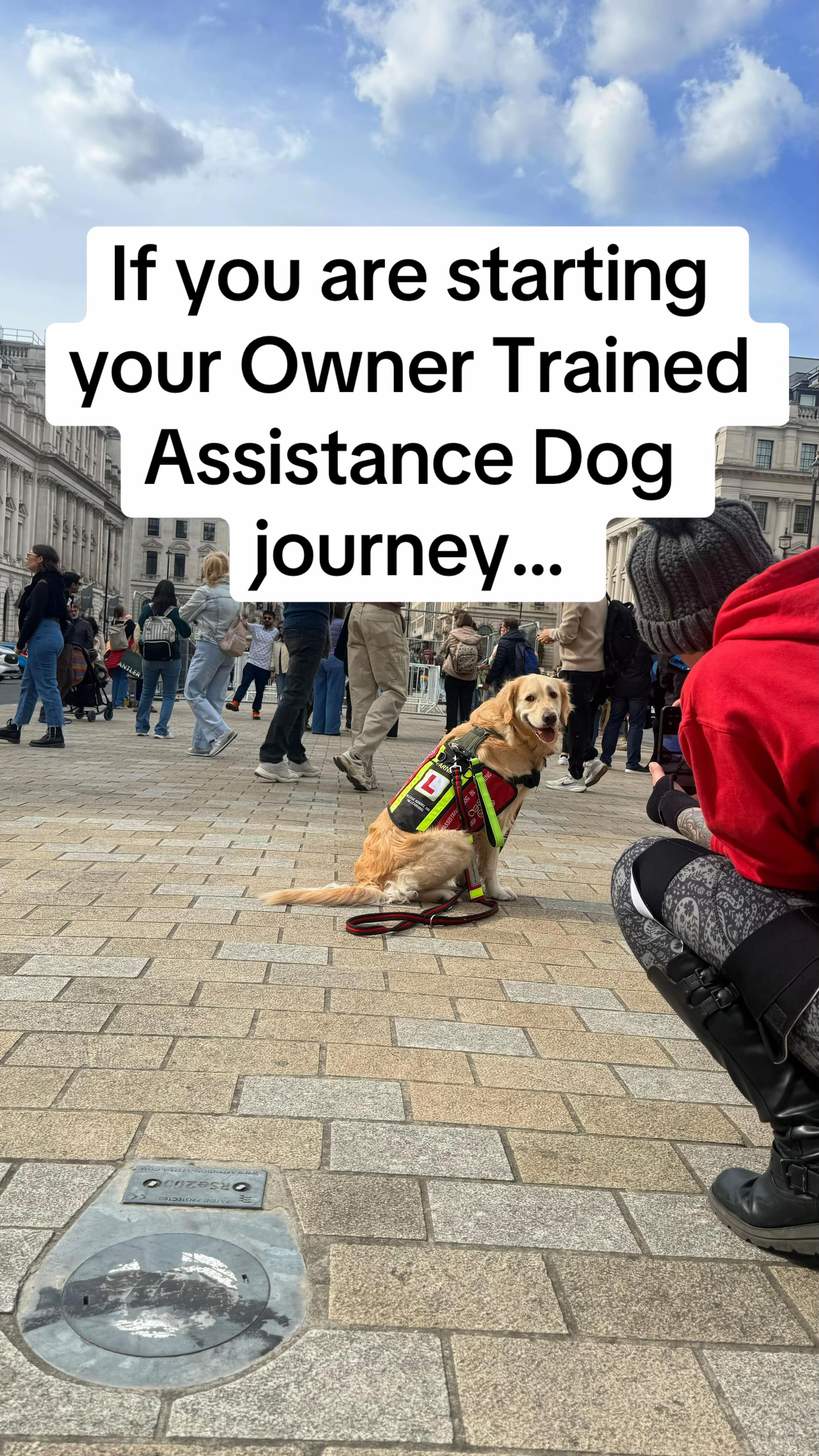 @Infinity Dogs CIC